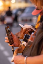 A person holding a dog and a cell phone