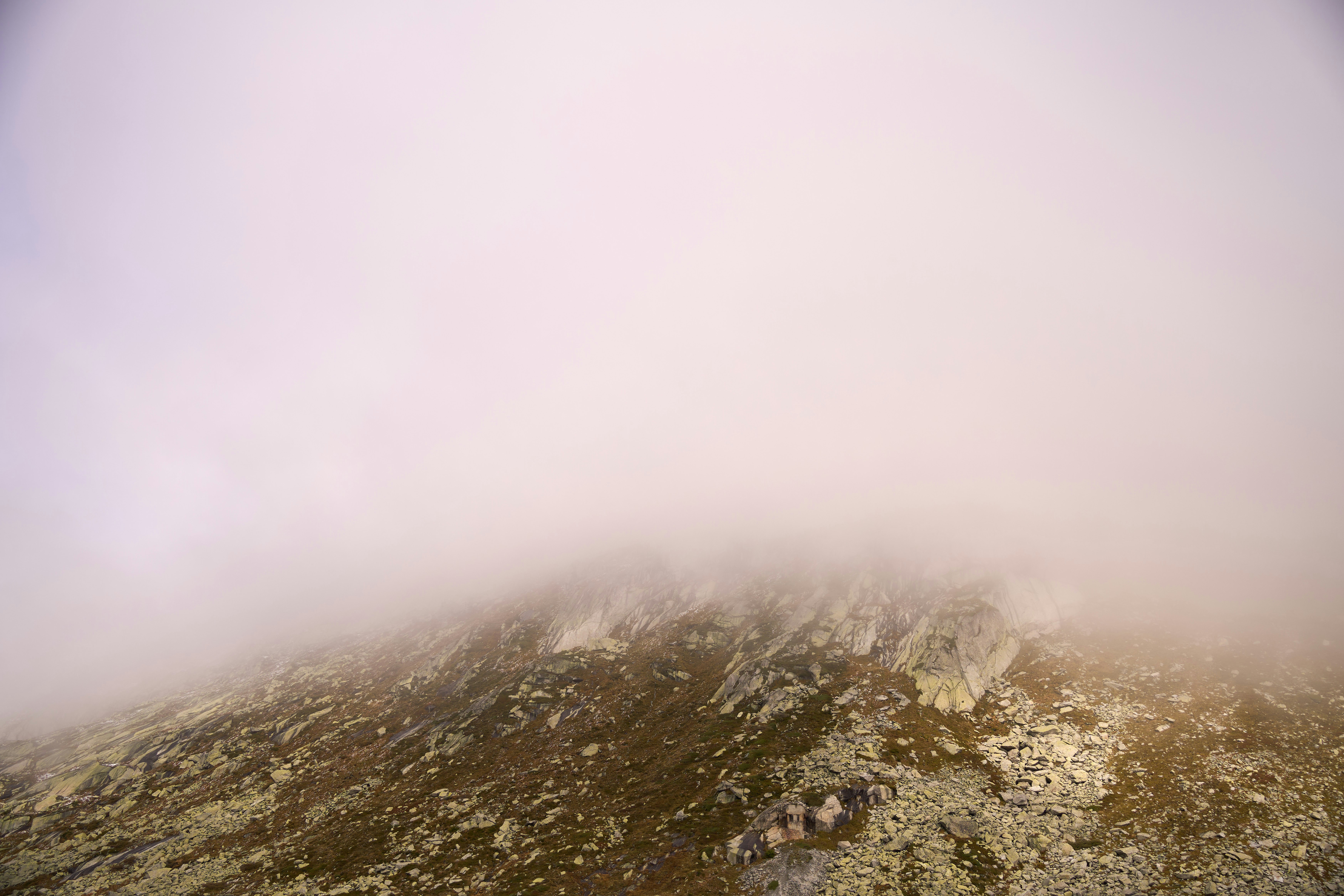 Photo by wolfgang_hasselmann