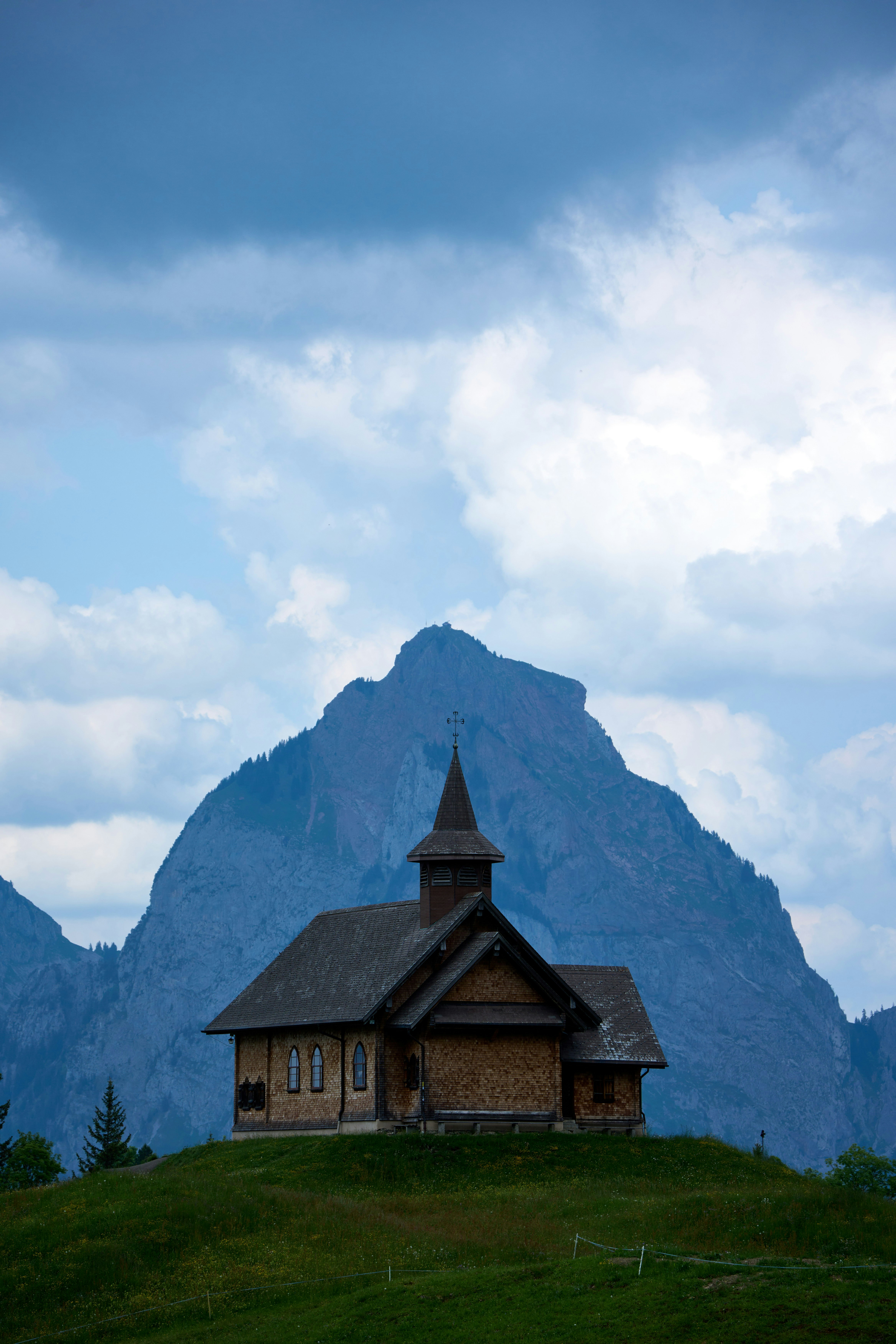 Photo by wolfgang_hasselmann