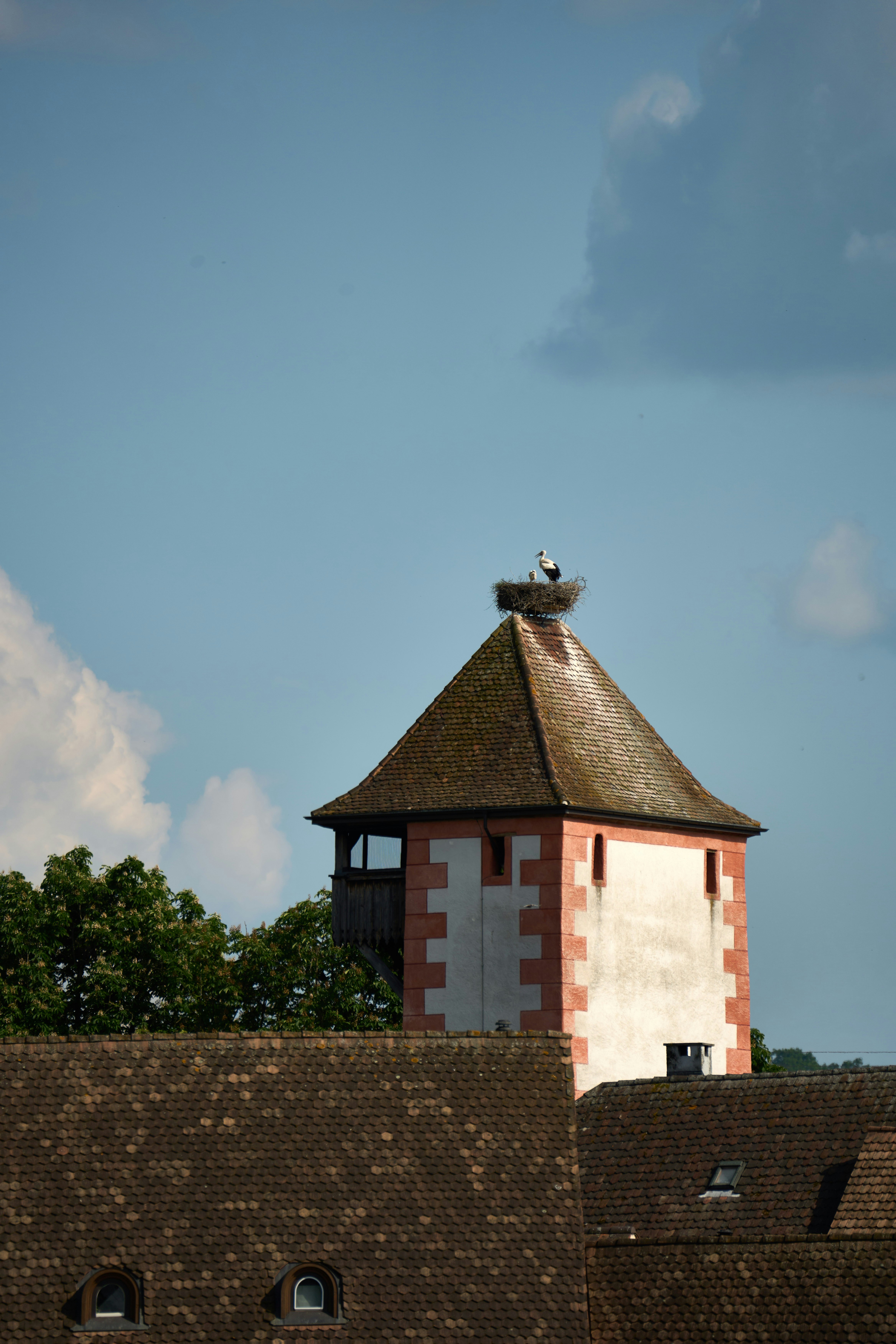 Photo by wolfgang_hasselmann