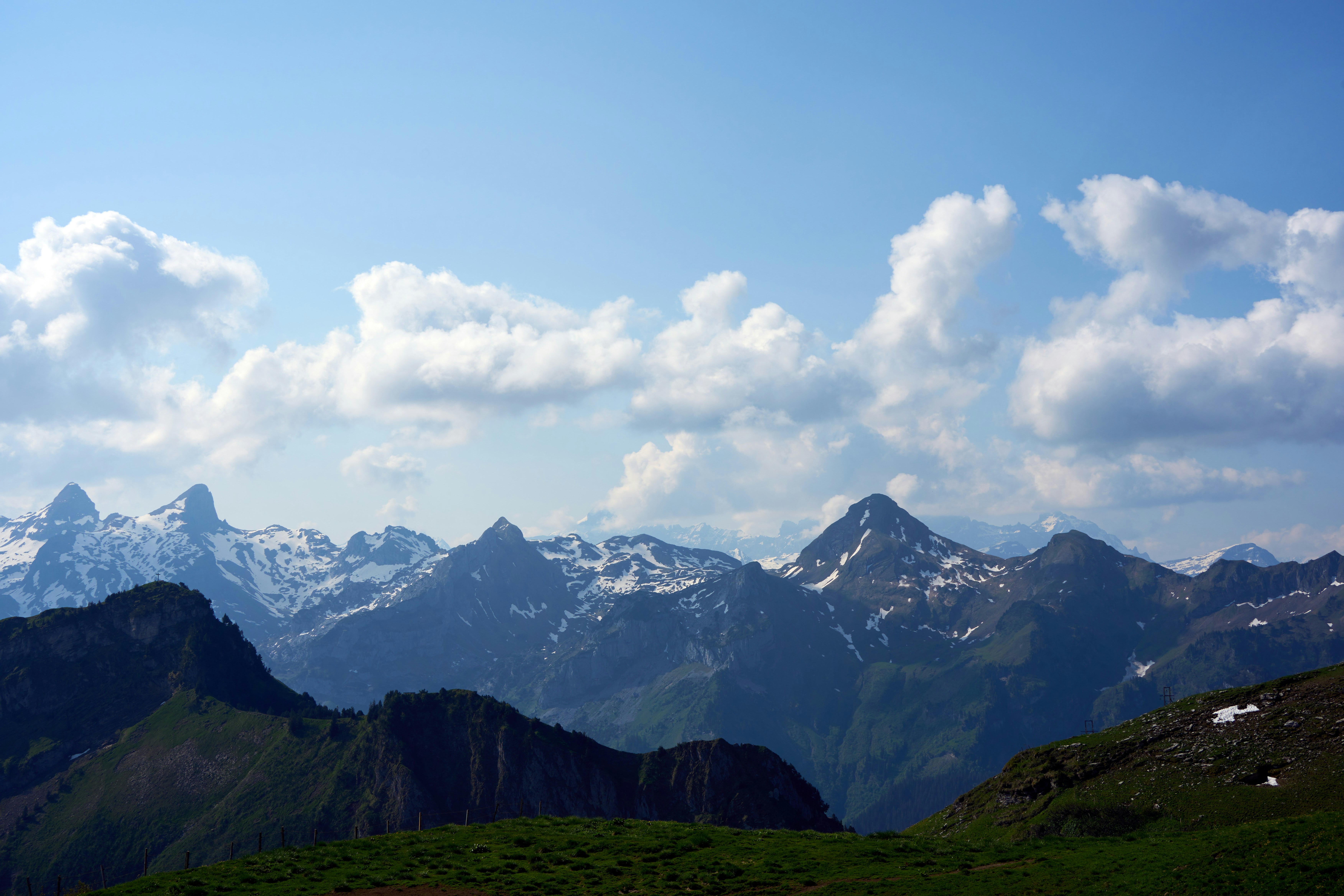 Photo by wolfgang_hasselmann