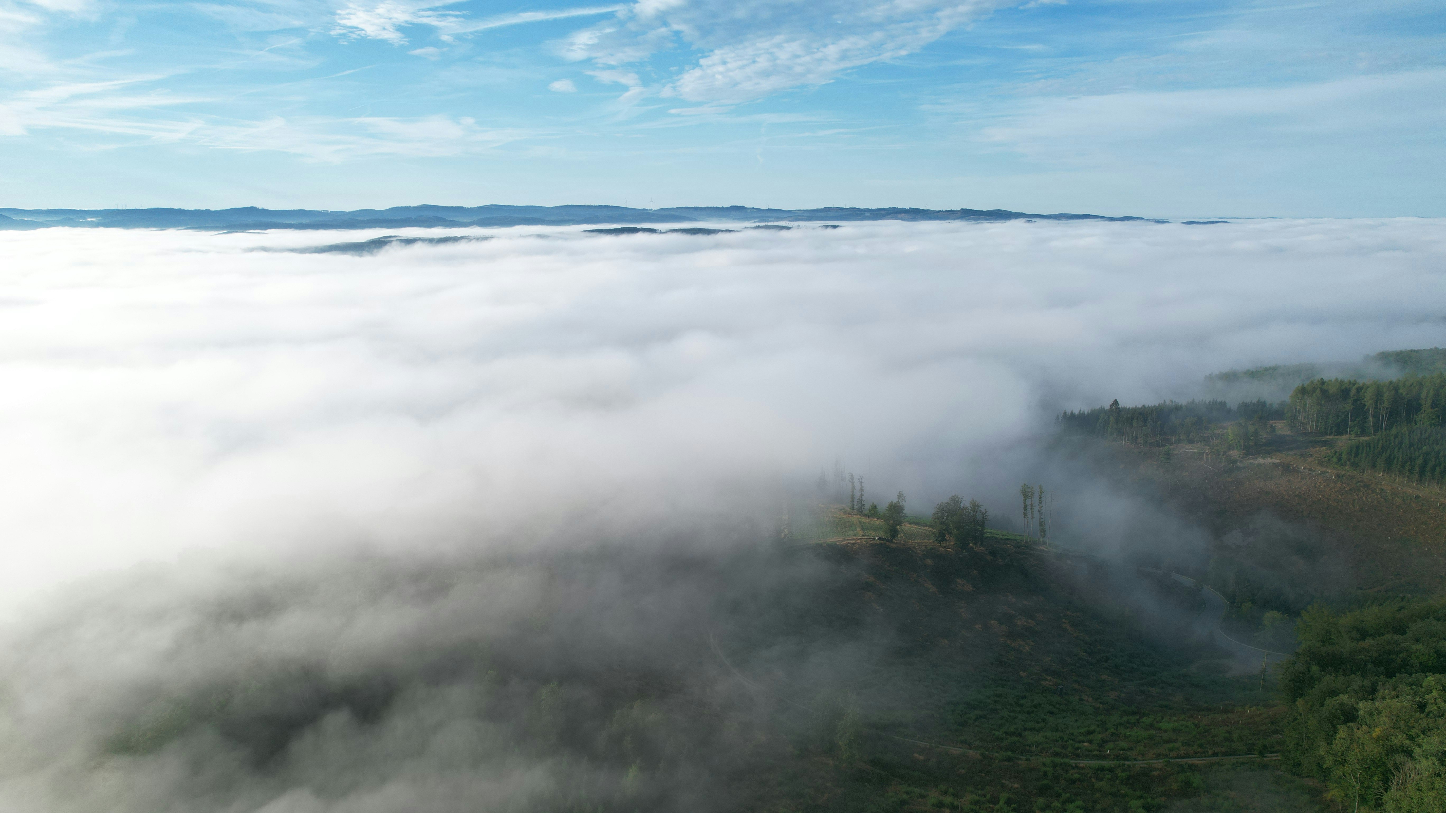 Photo by mortezakhalili