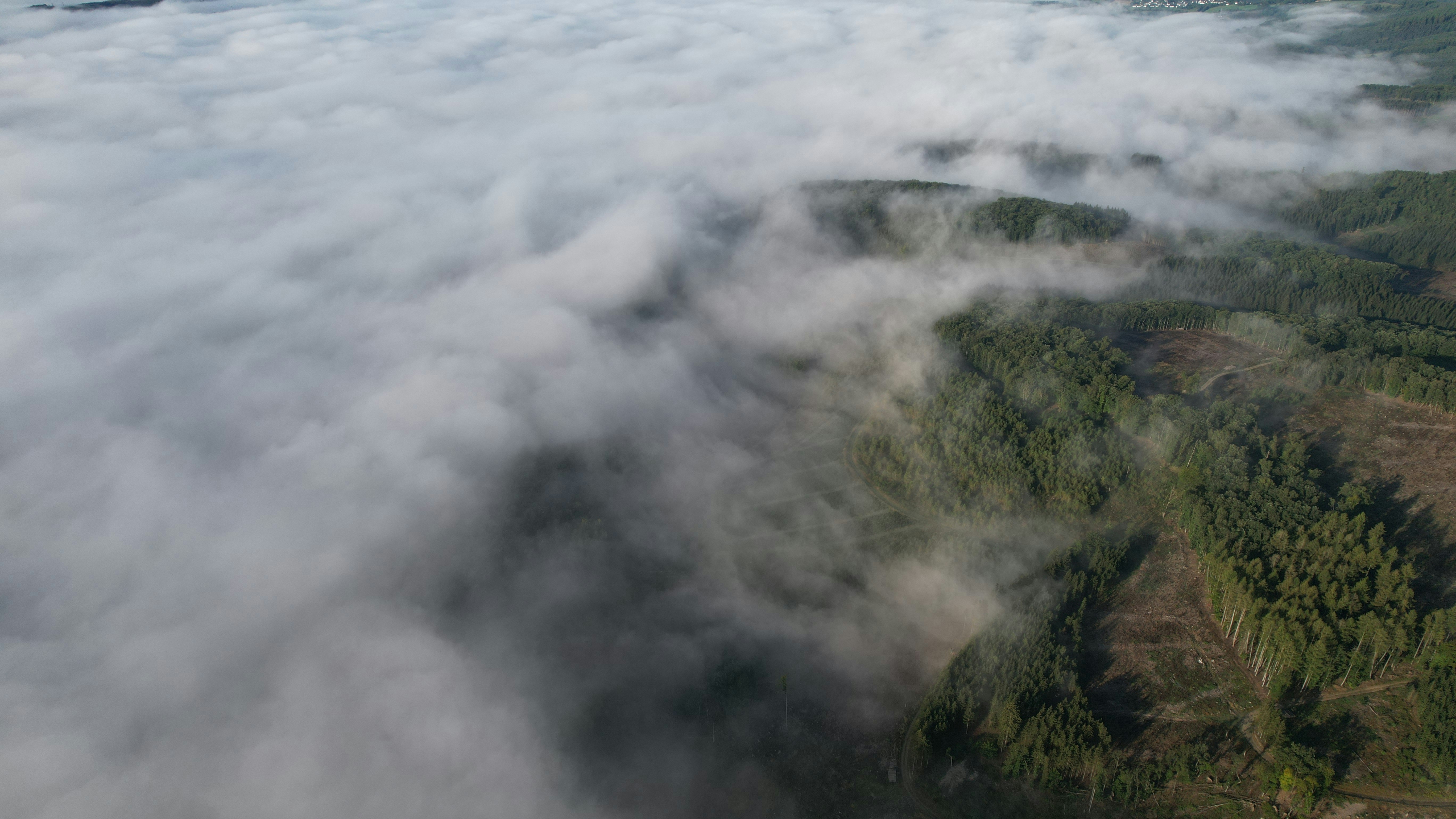 Photo by mortezakhalili