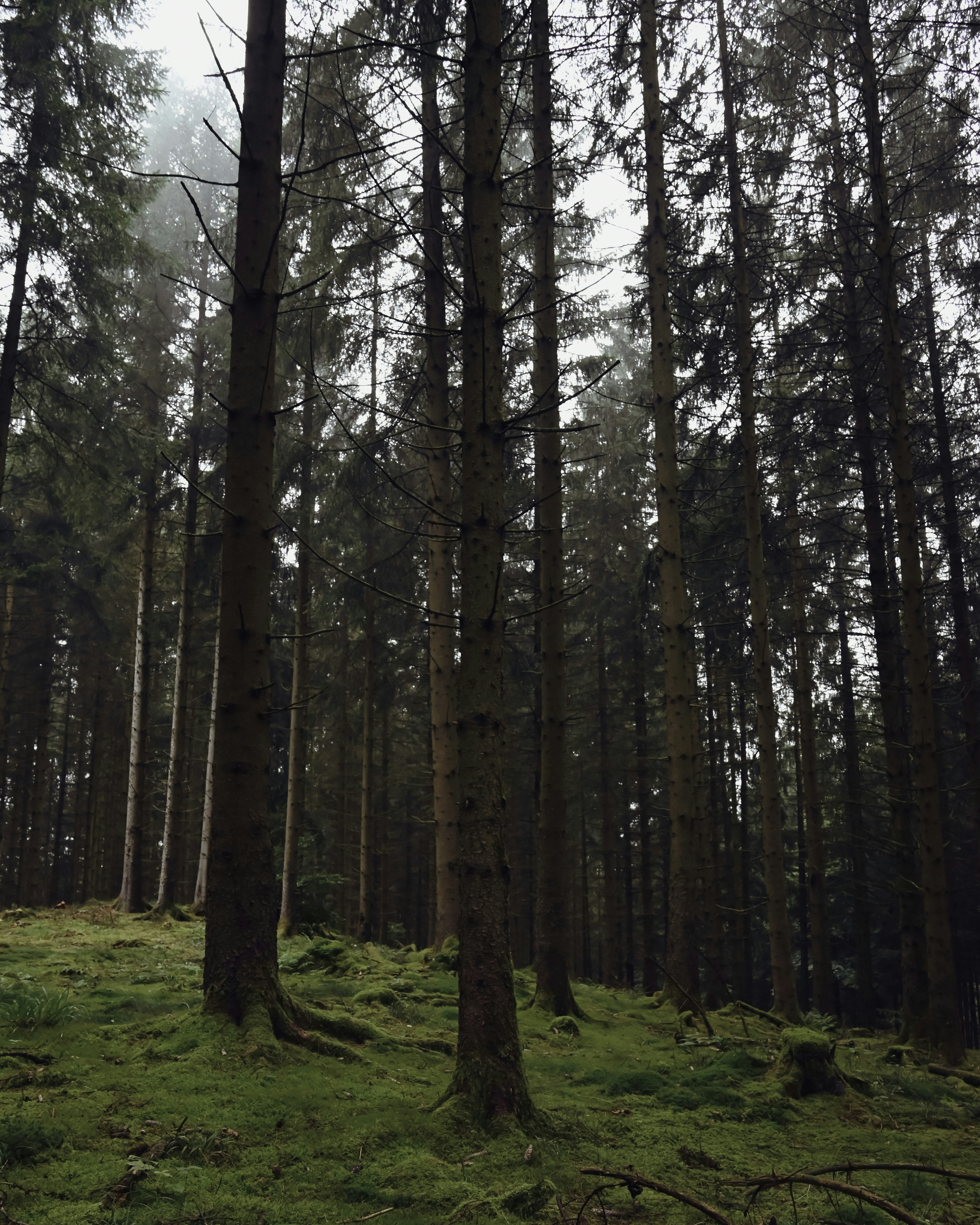 Photo by mortezakhalili