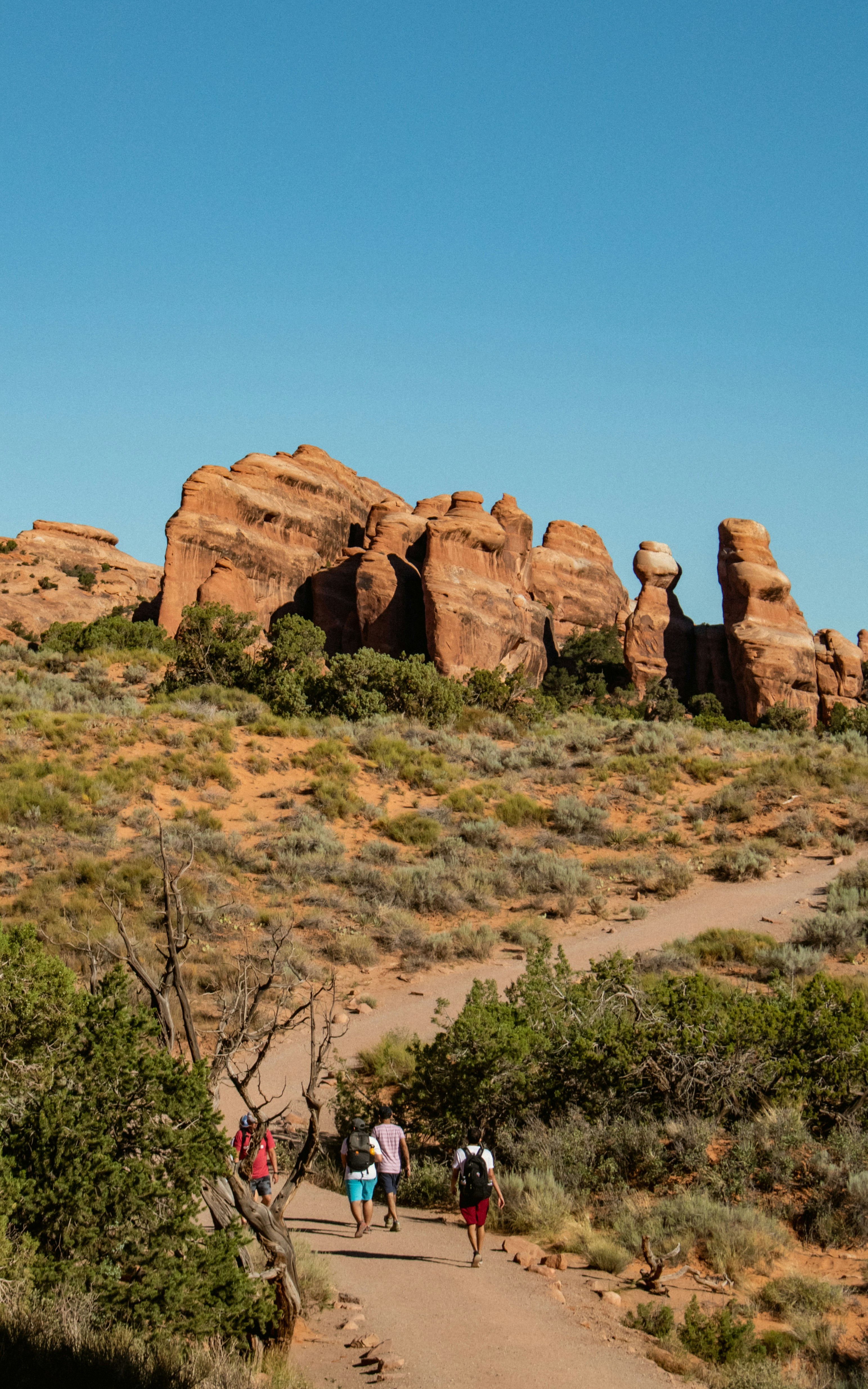 Photo by zoshuacolah