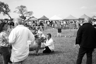 A group of people standing around a cow in a field
