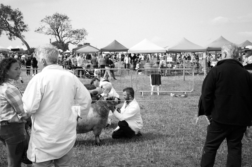 A group of people standing around a cow in a field