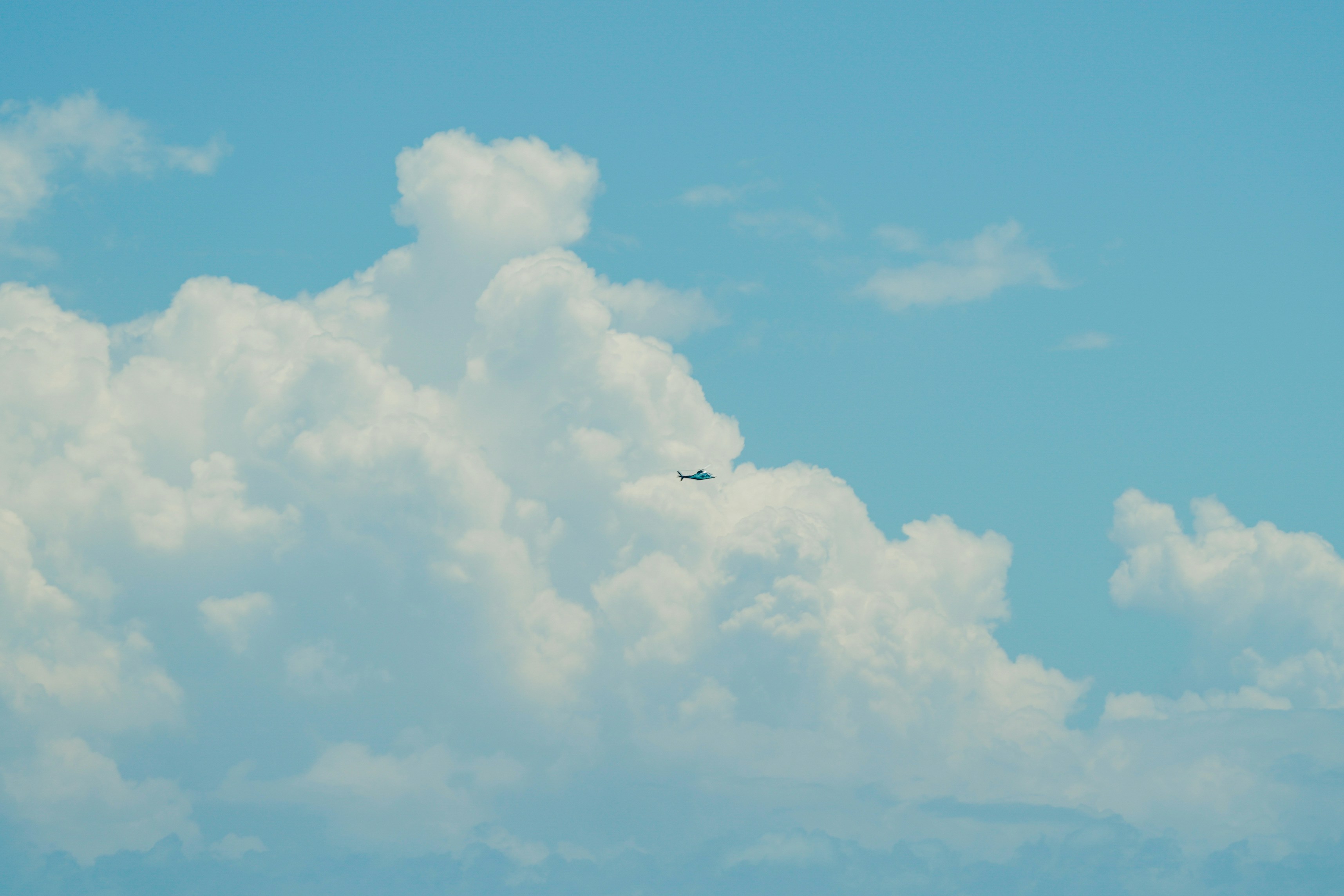 Photo by aldwardcv31