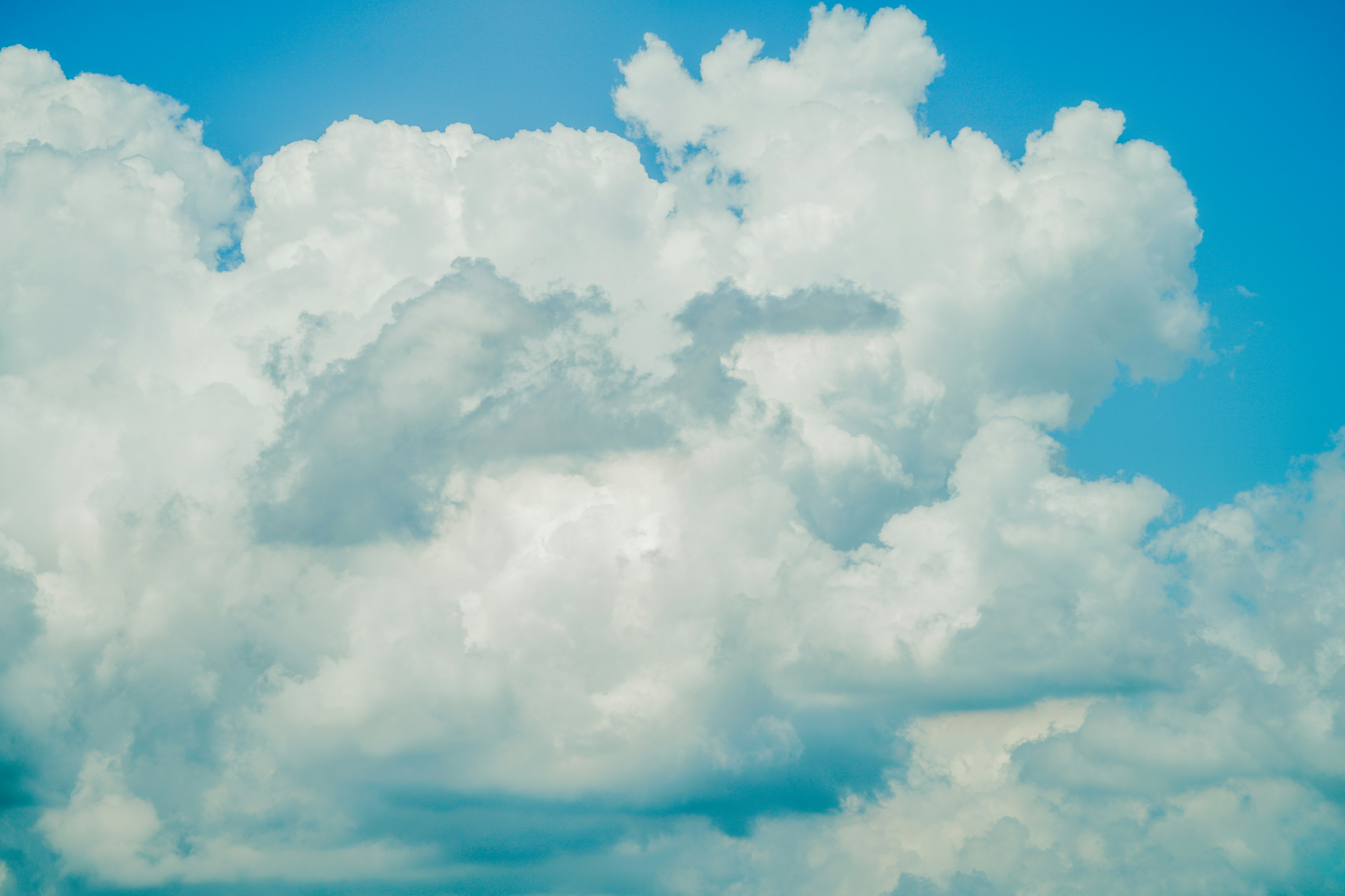 Photo by aldwardcv31