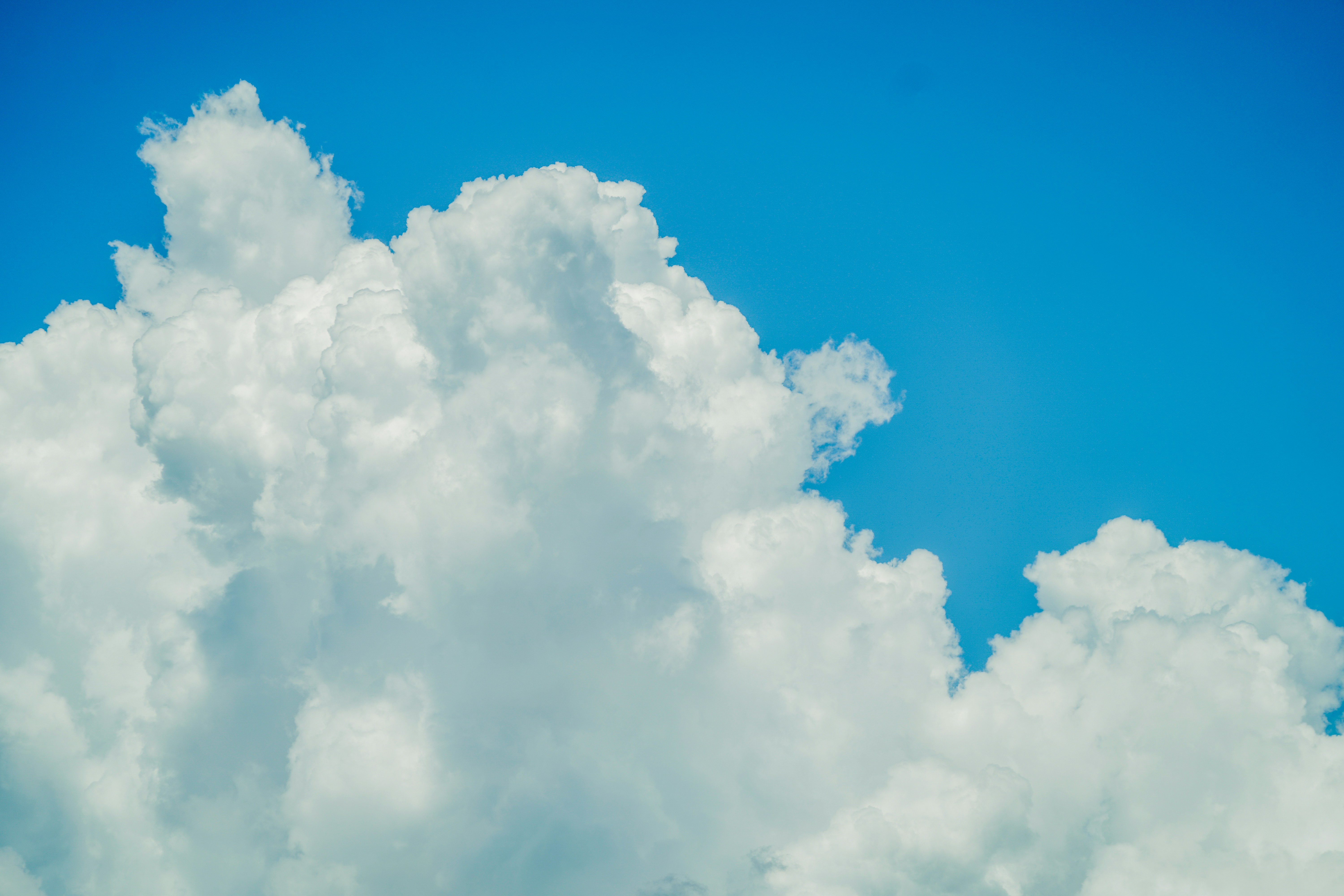 Photo by aldwardcv31