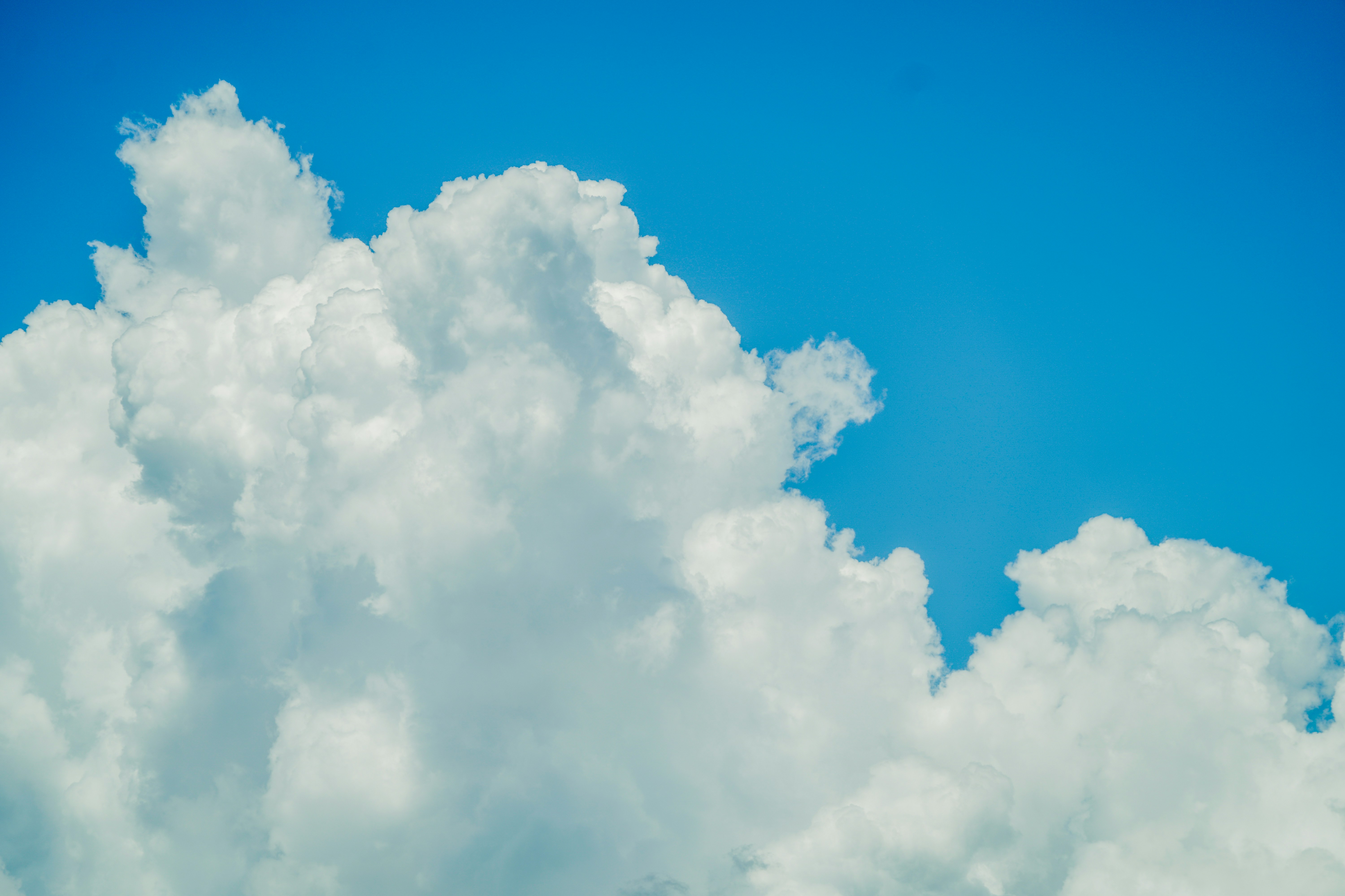 Photo by aldwardcv31