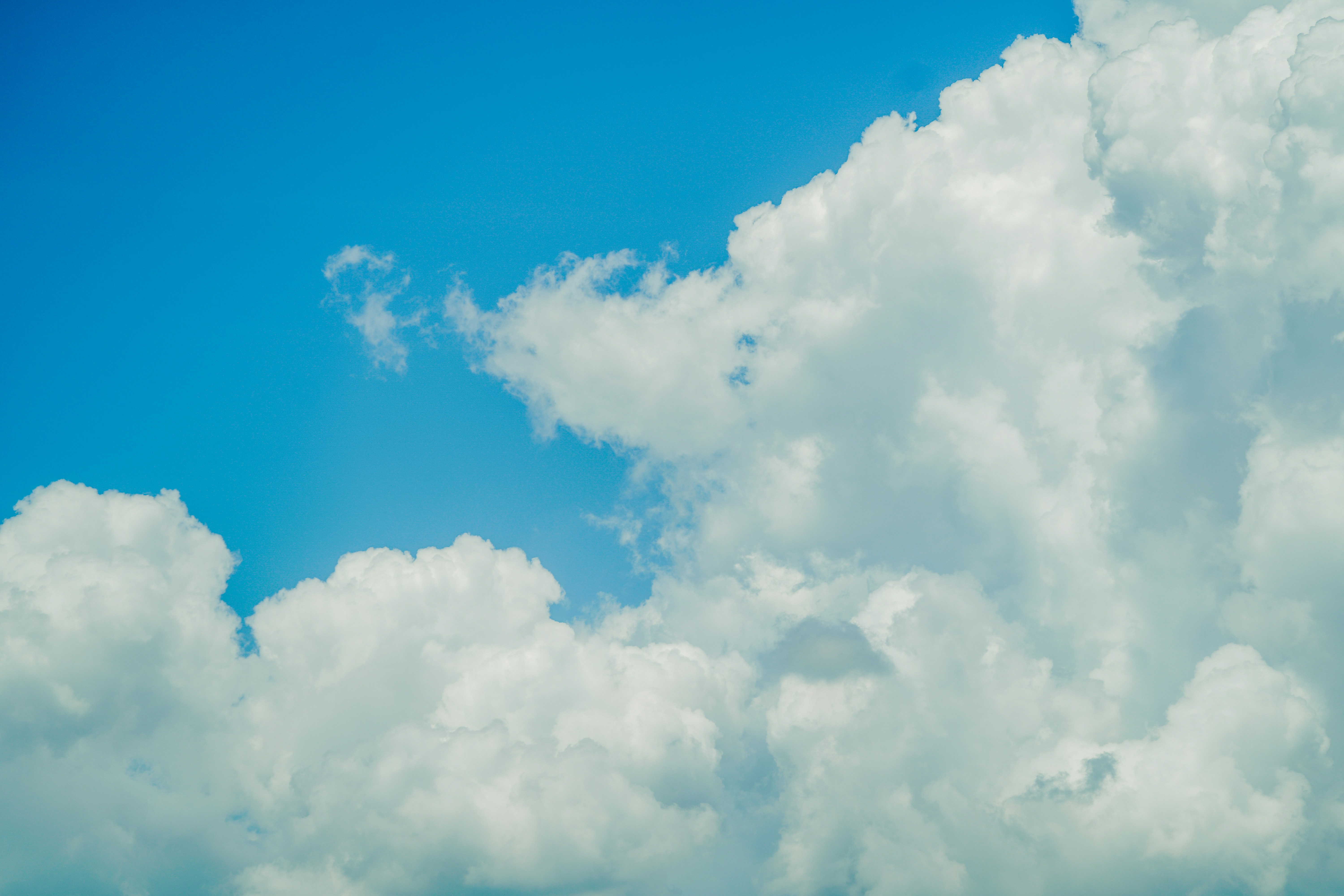 Photo by aldwardcv31