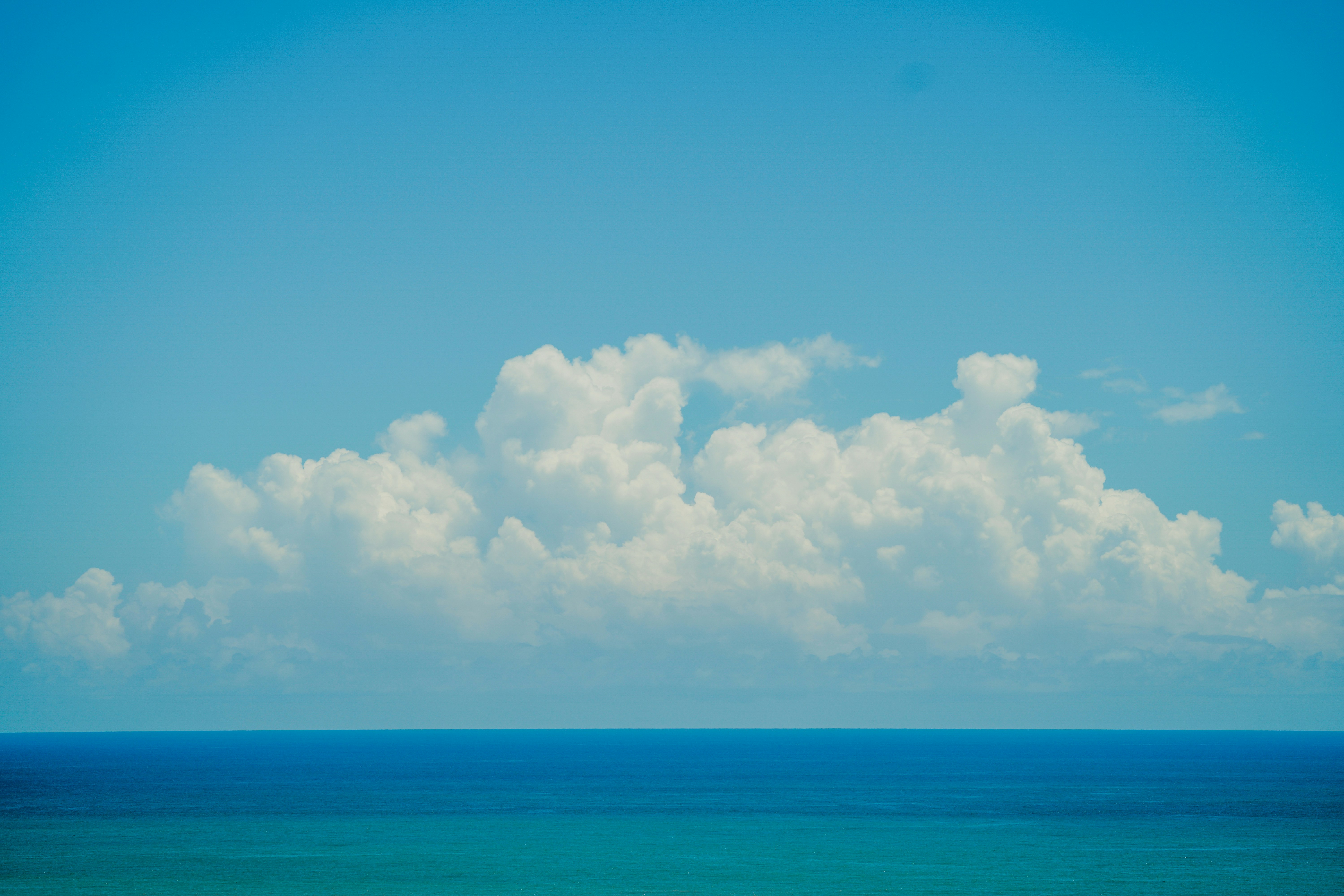 Photo by aldwardcv31