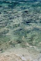 A person standing in the ocean with a surfboard