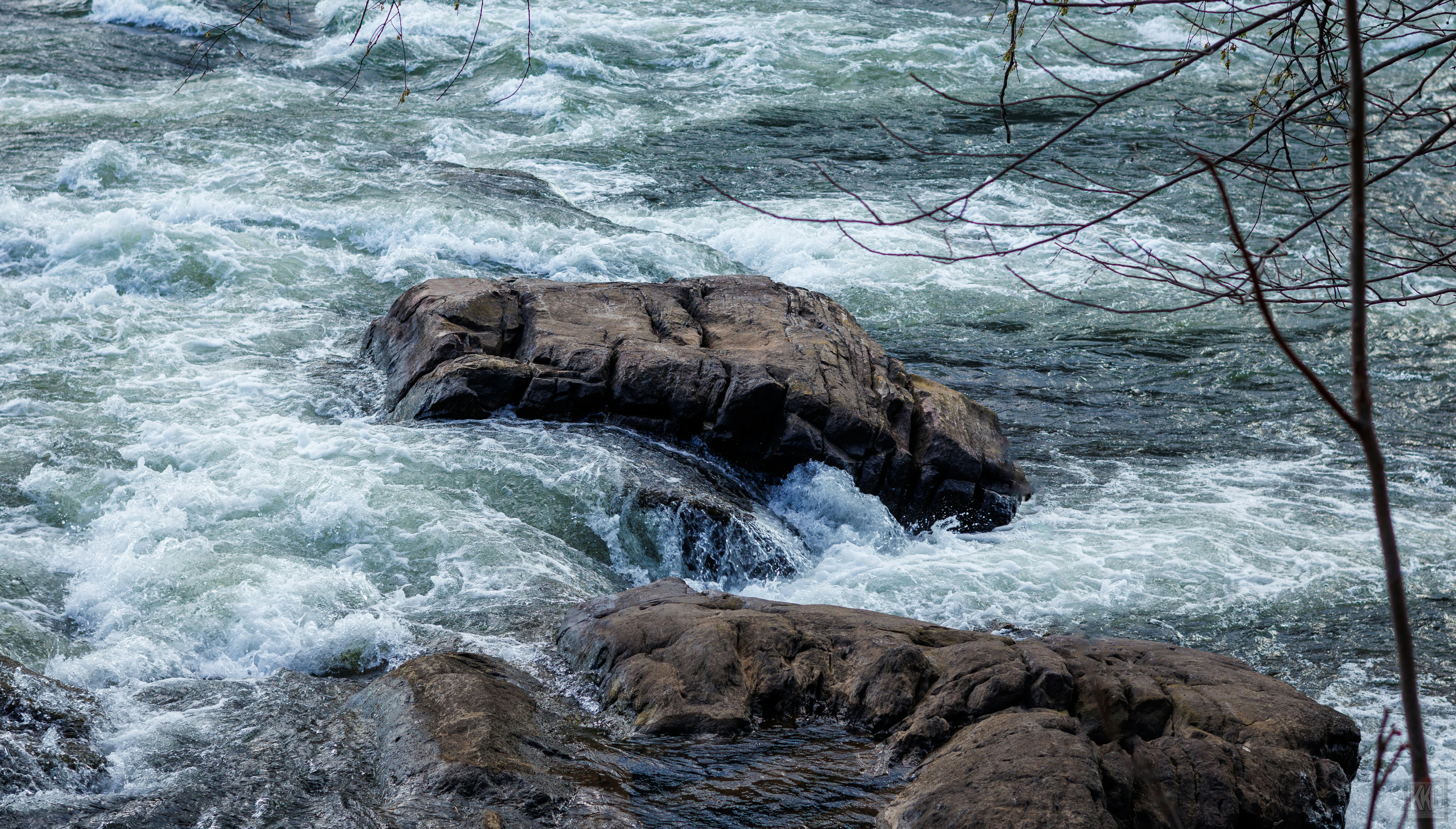 Photo by kkgcreativ3