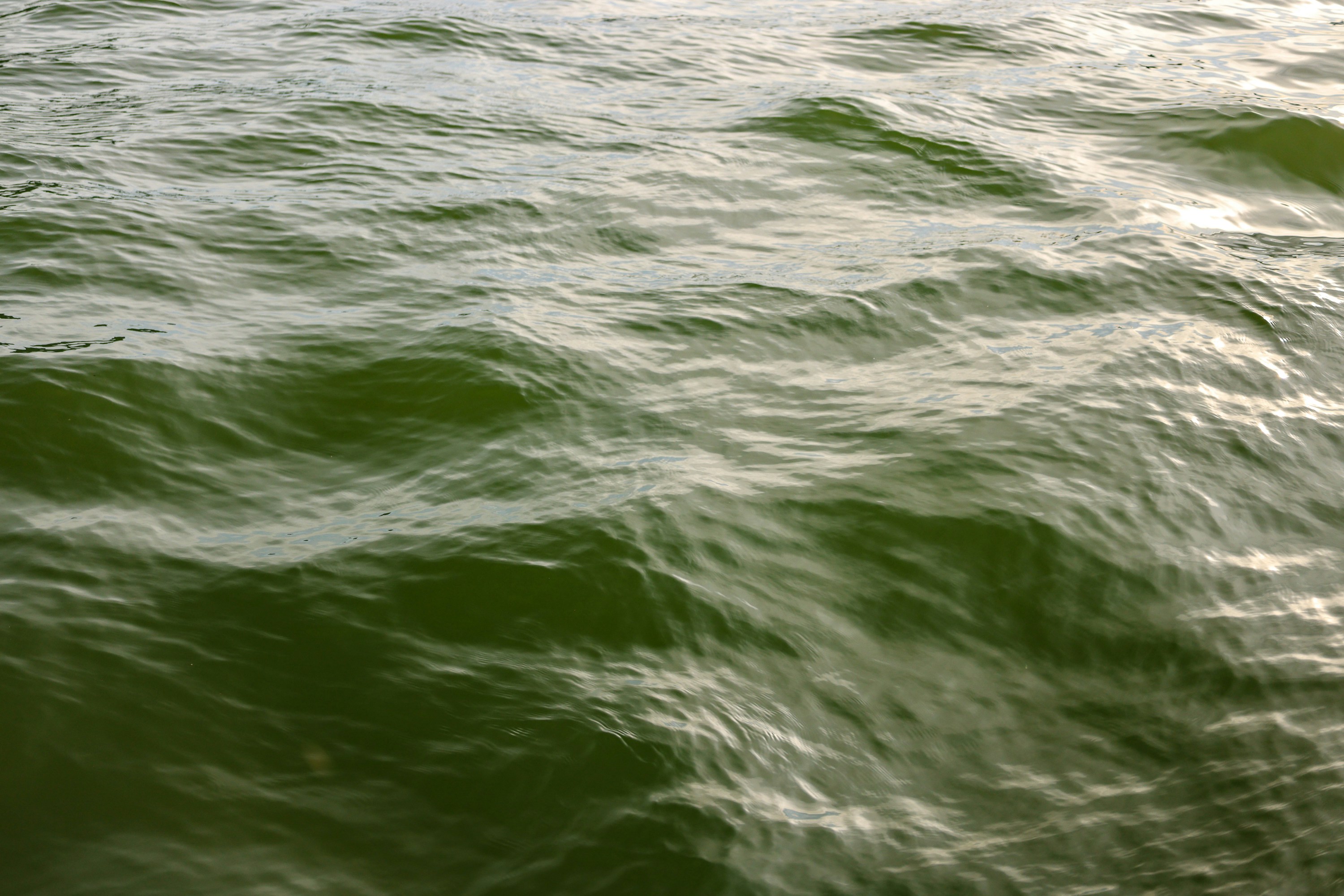 Photo by rosemarymedia