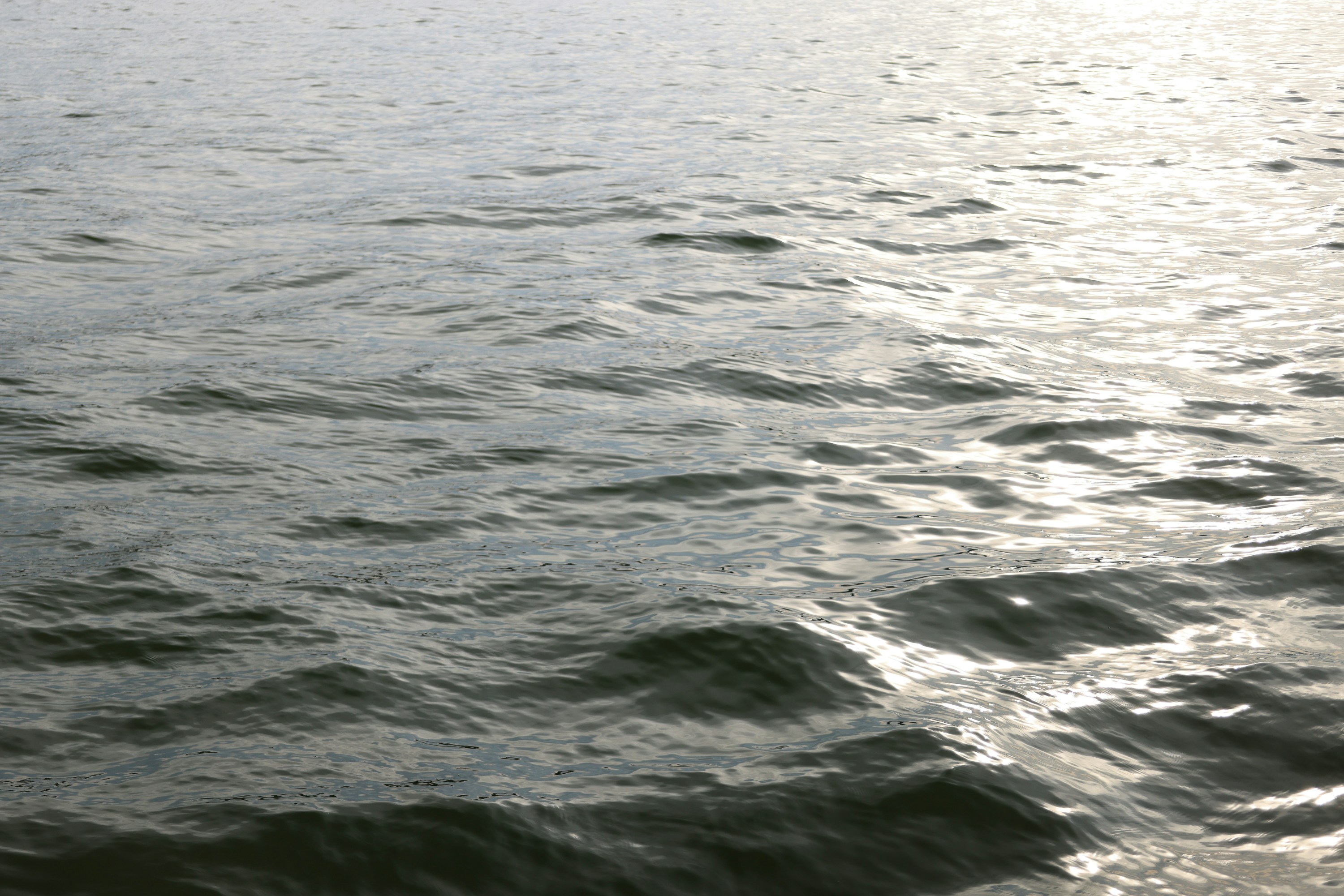 Photo by rosemarymedia