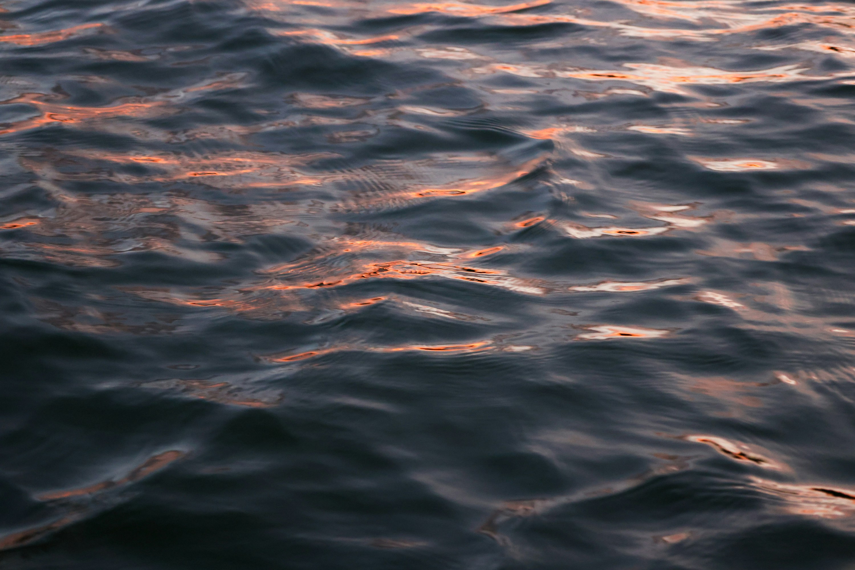 Photo by rosemarymedia