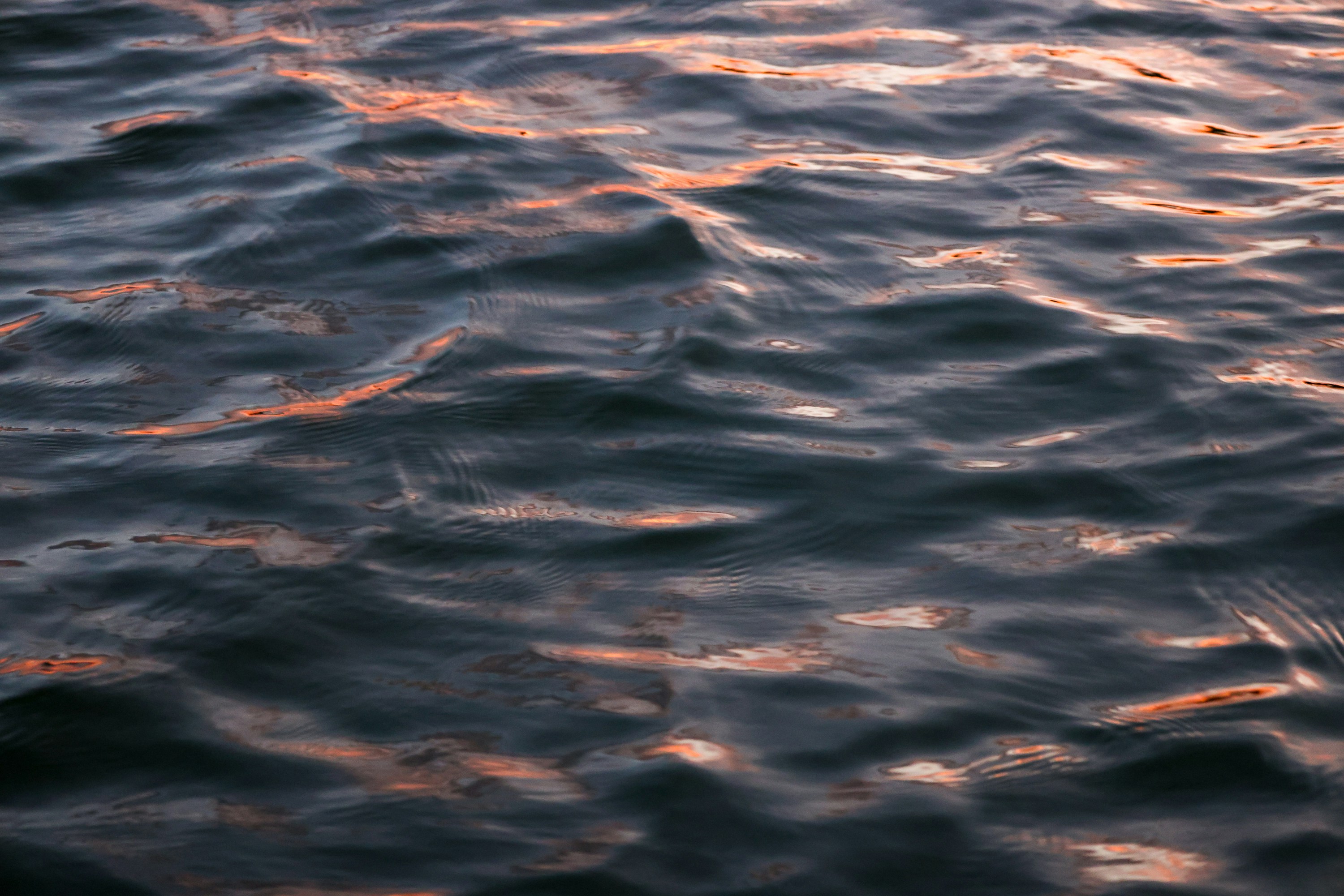 Photo by rosemarymedia