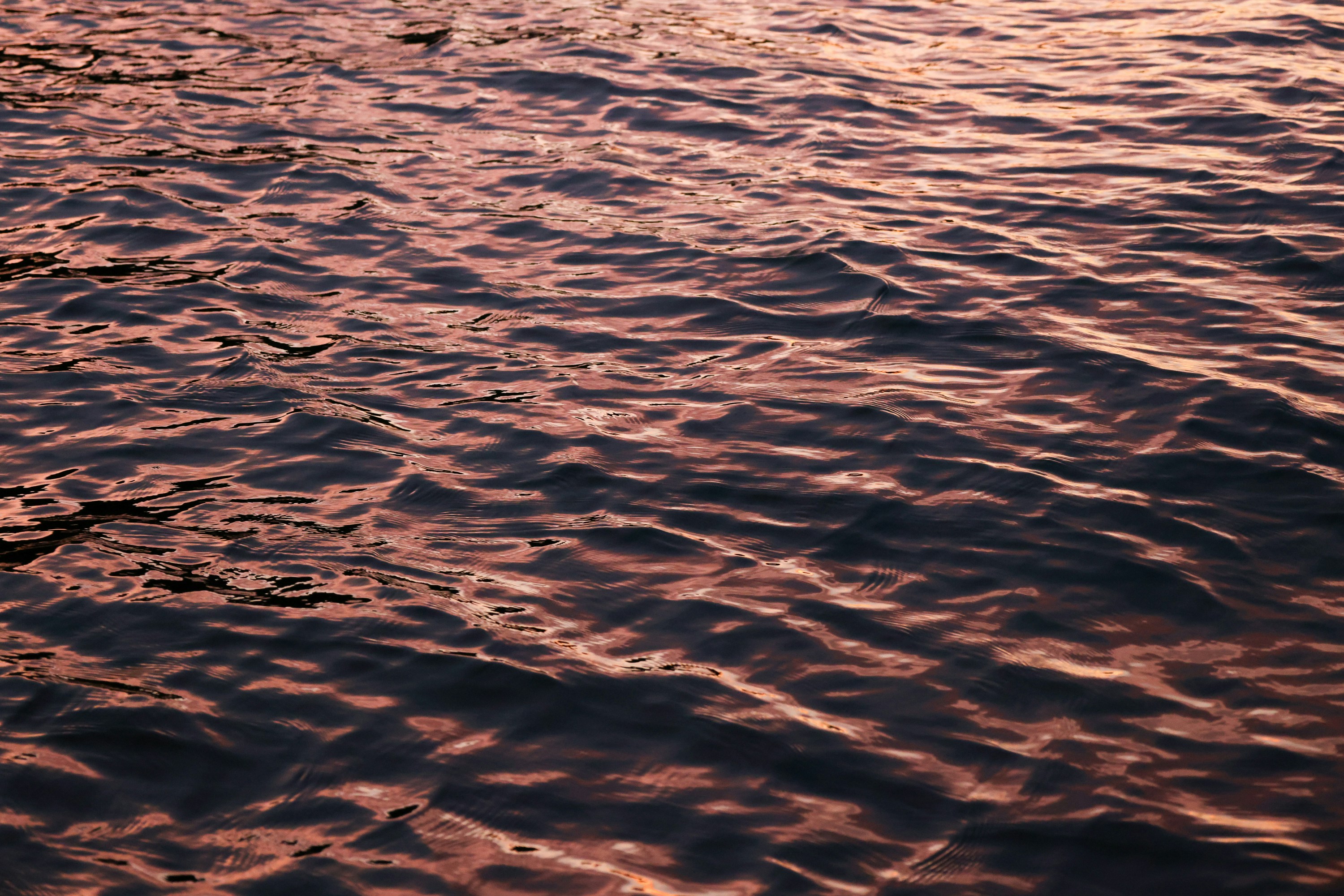 Photo by rosemarymedia