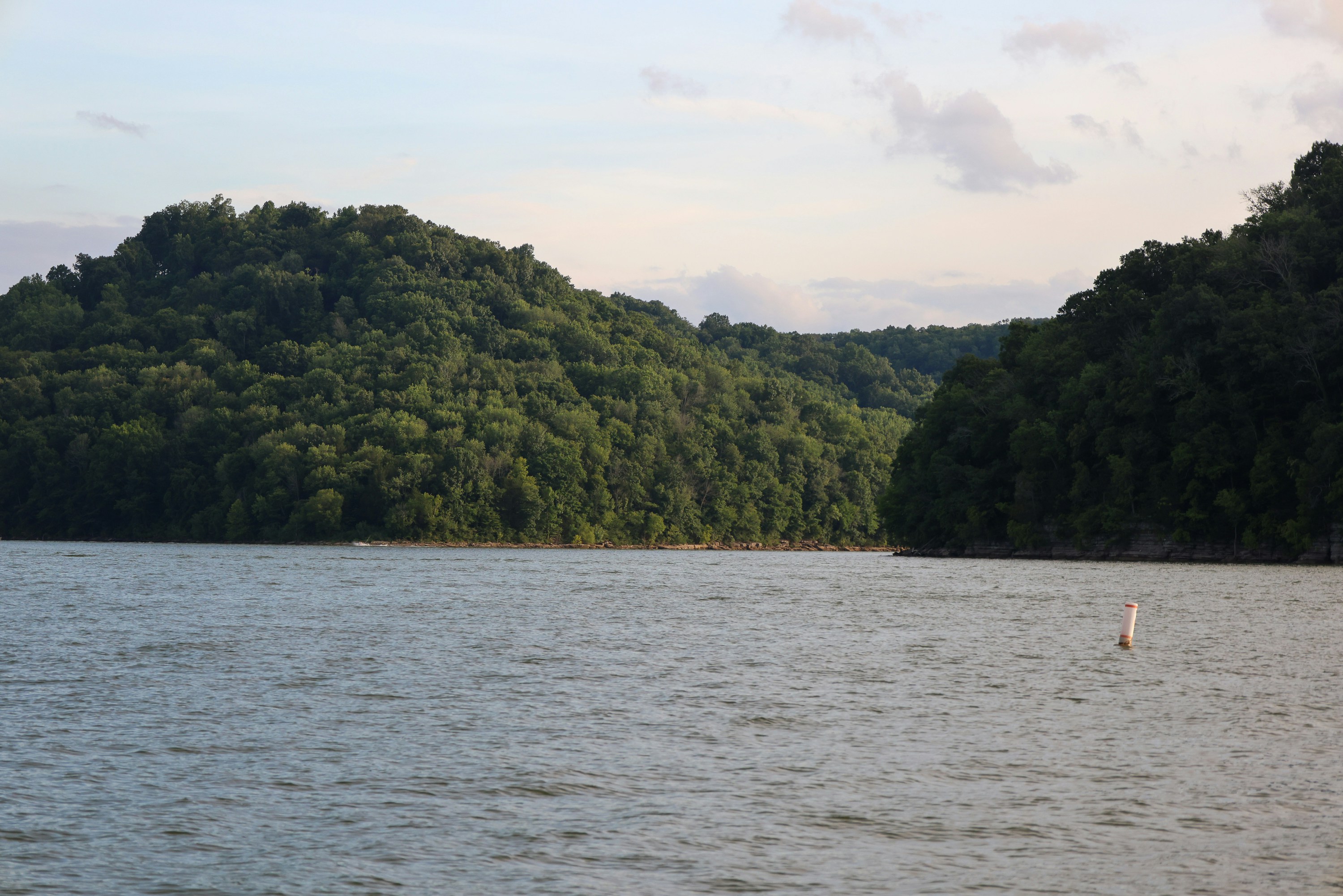 Photo by rosemarymedia