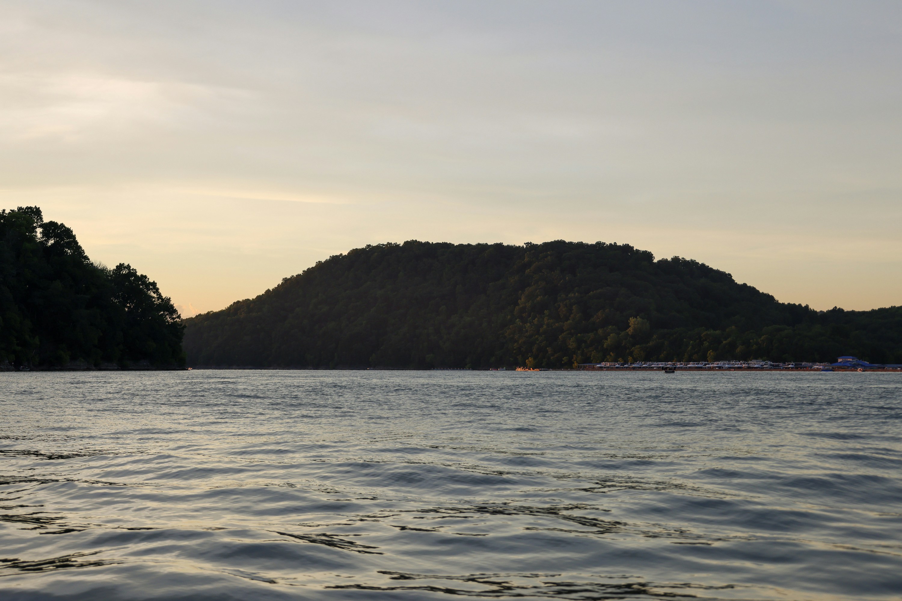 Photo by rosemarymedia