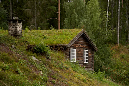 Rustic log cabin in the countryside