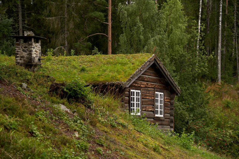 Wooden cabin