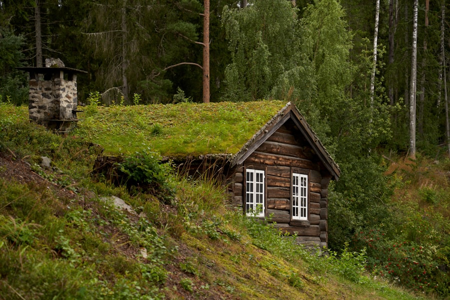A small timber cabin with a turf roof at the forest edge