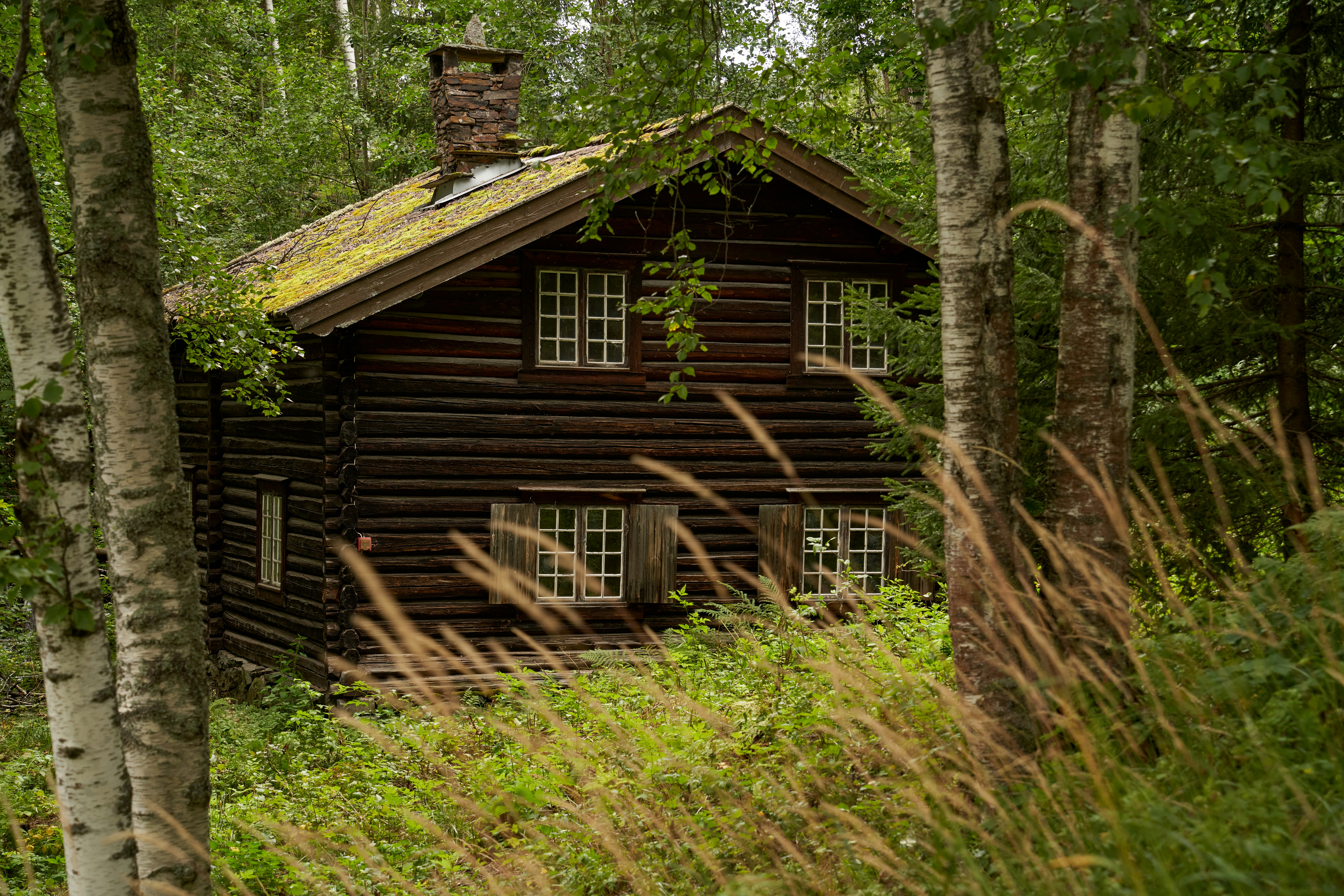 Photo by davotibarna