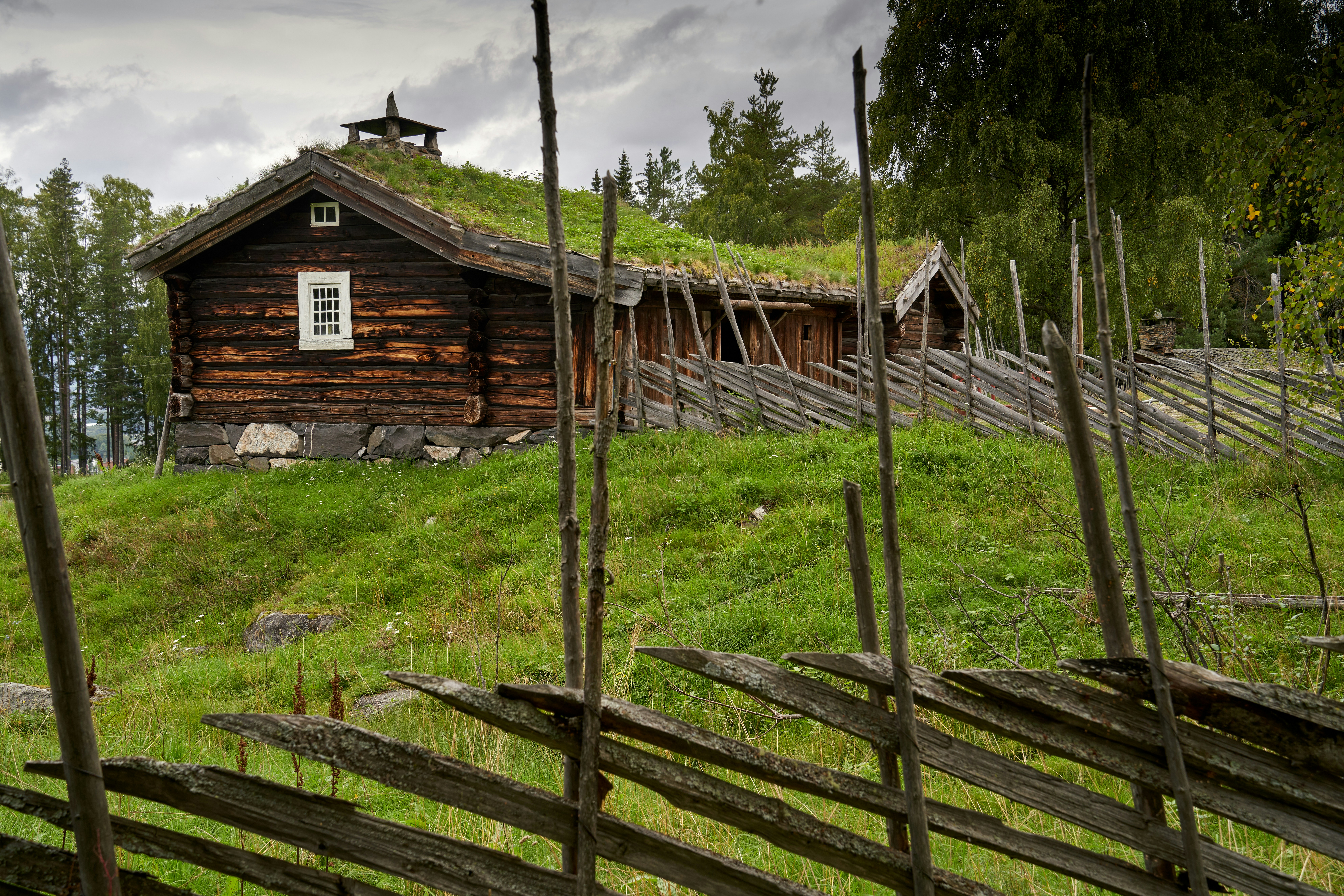 Photo by davotibarna