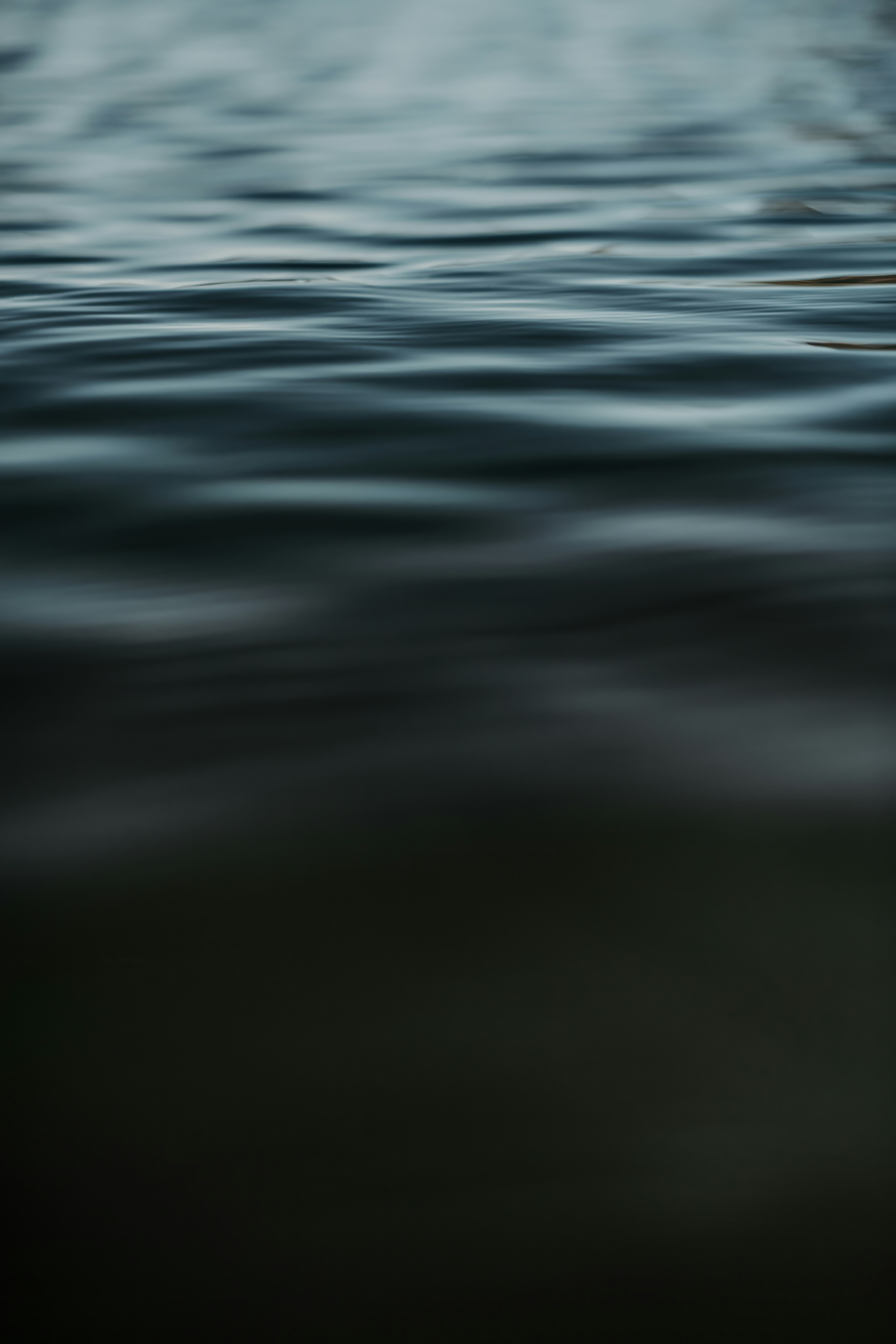 A blurry photo of water with a bird flying over it