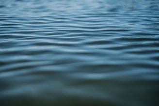 A blurry photo of a body of water