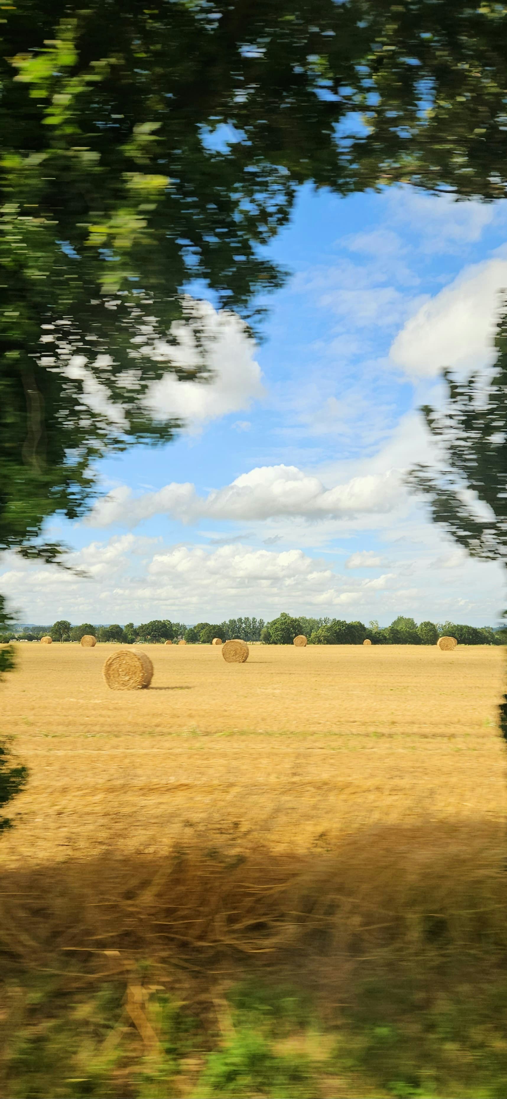 Photo by cornierswings829