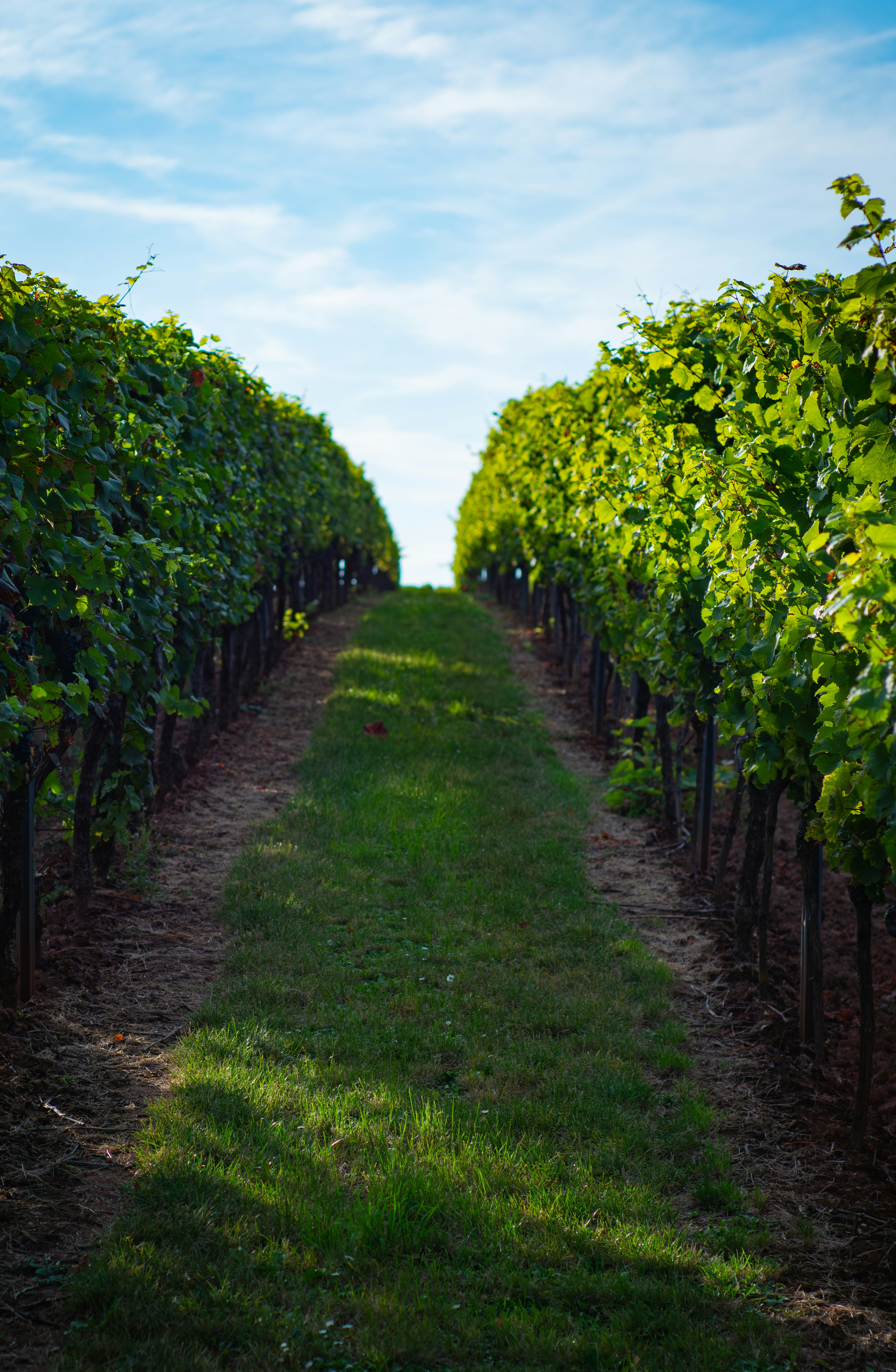 Photo by poli_graphy