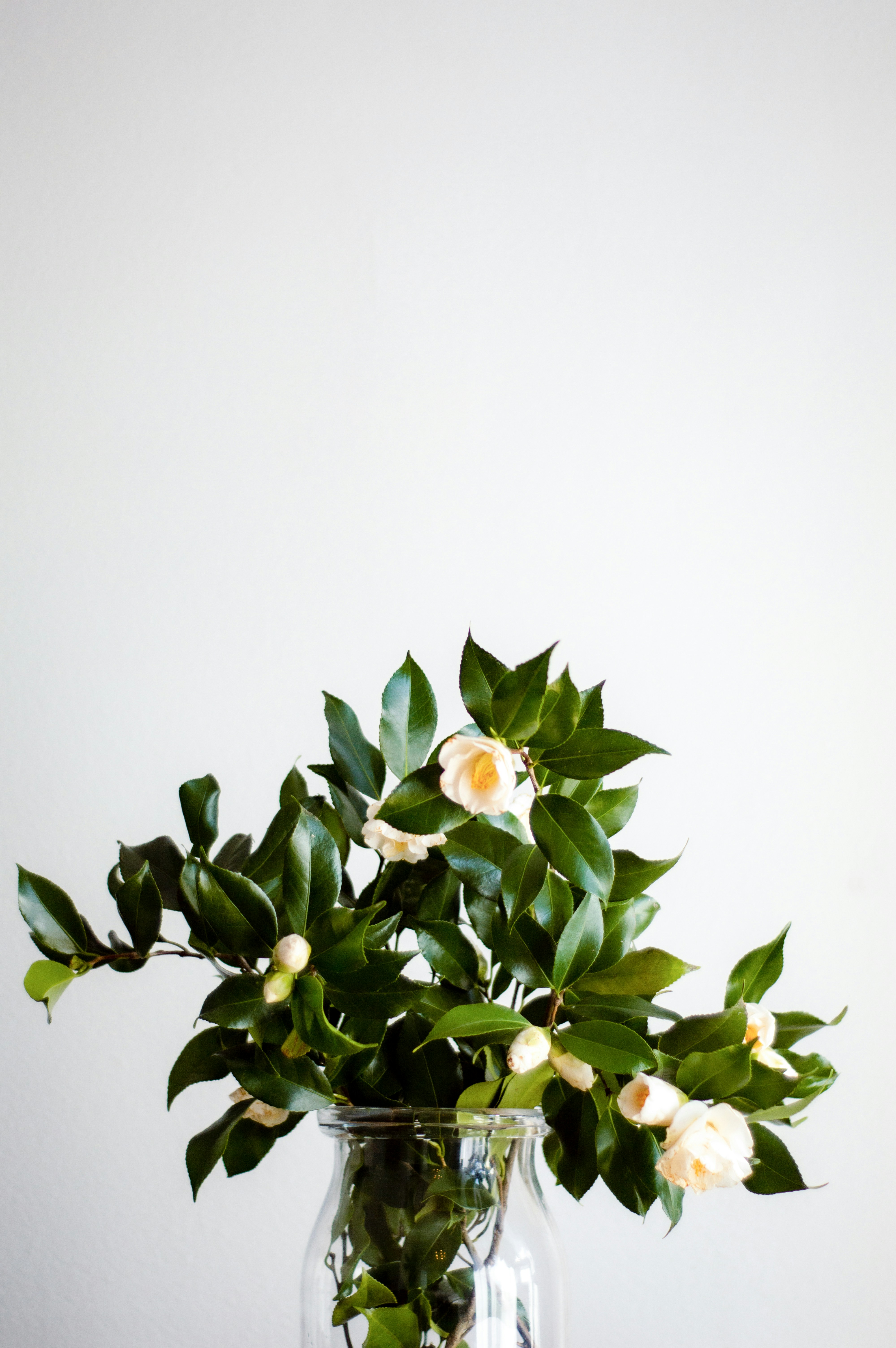 Photo by blackberryandpine