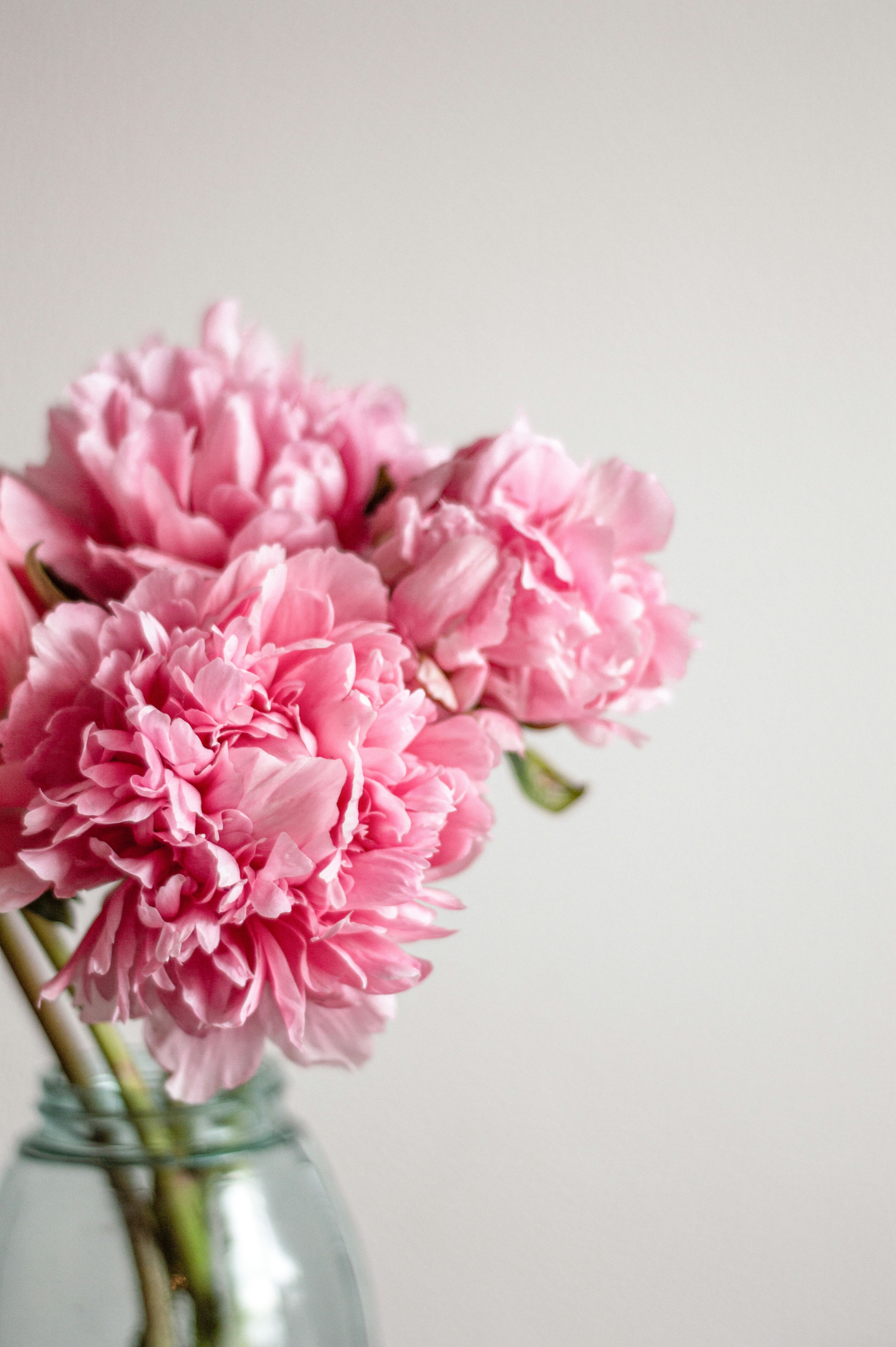 Photo by blackberryandpine