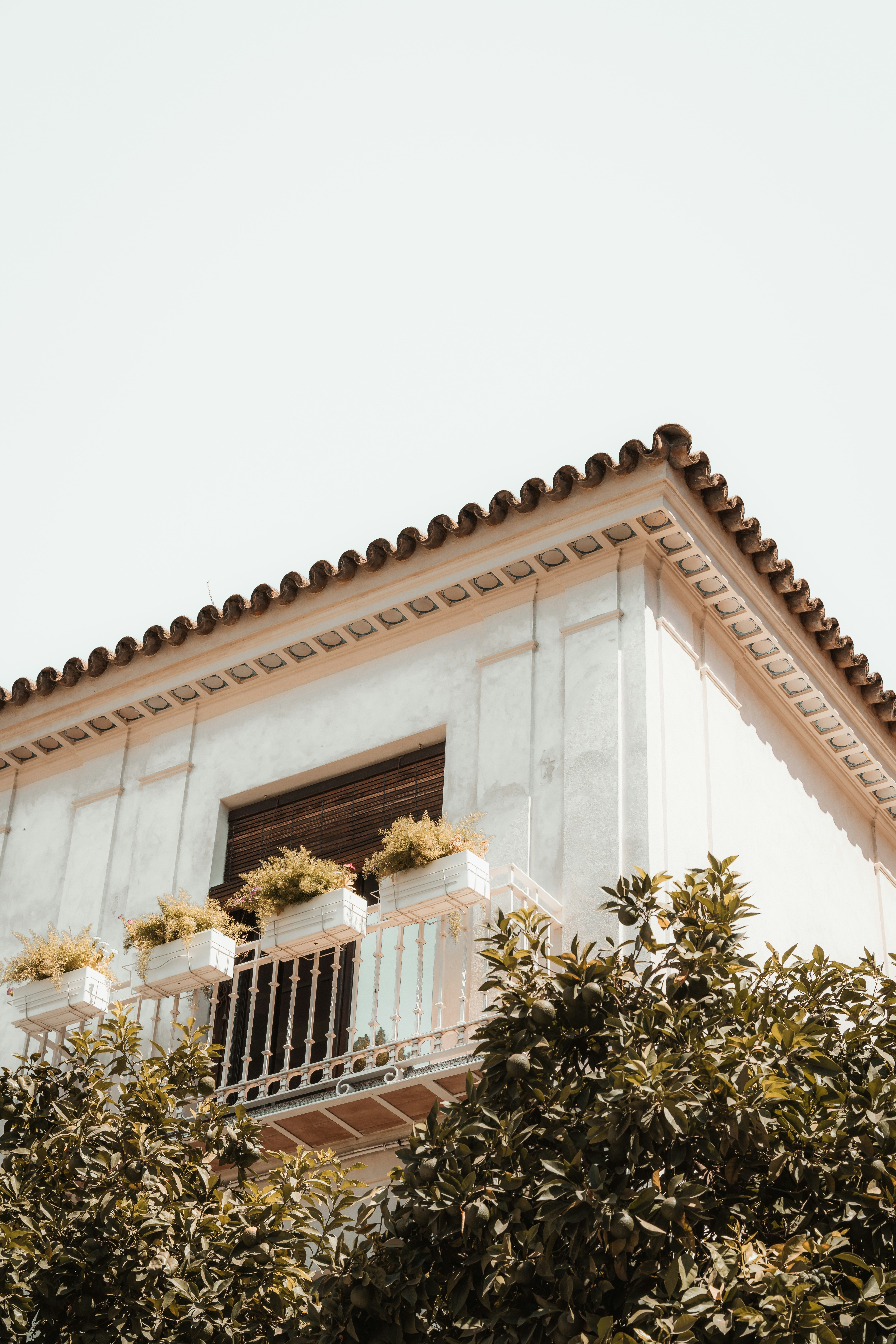 Photo by raphael_nicolas