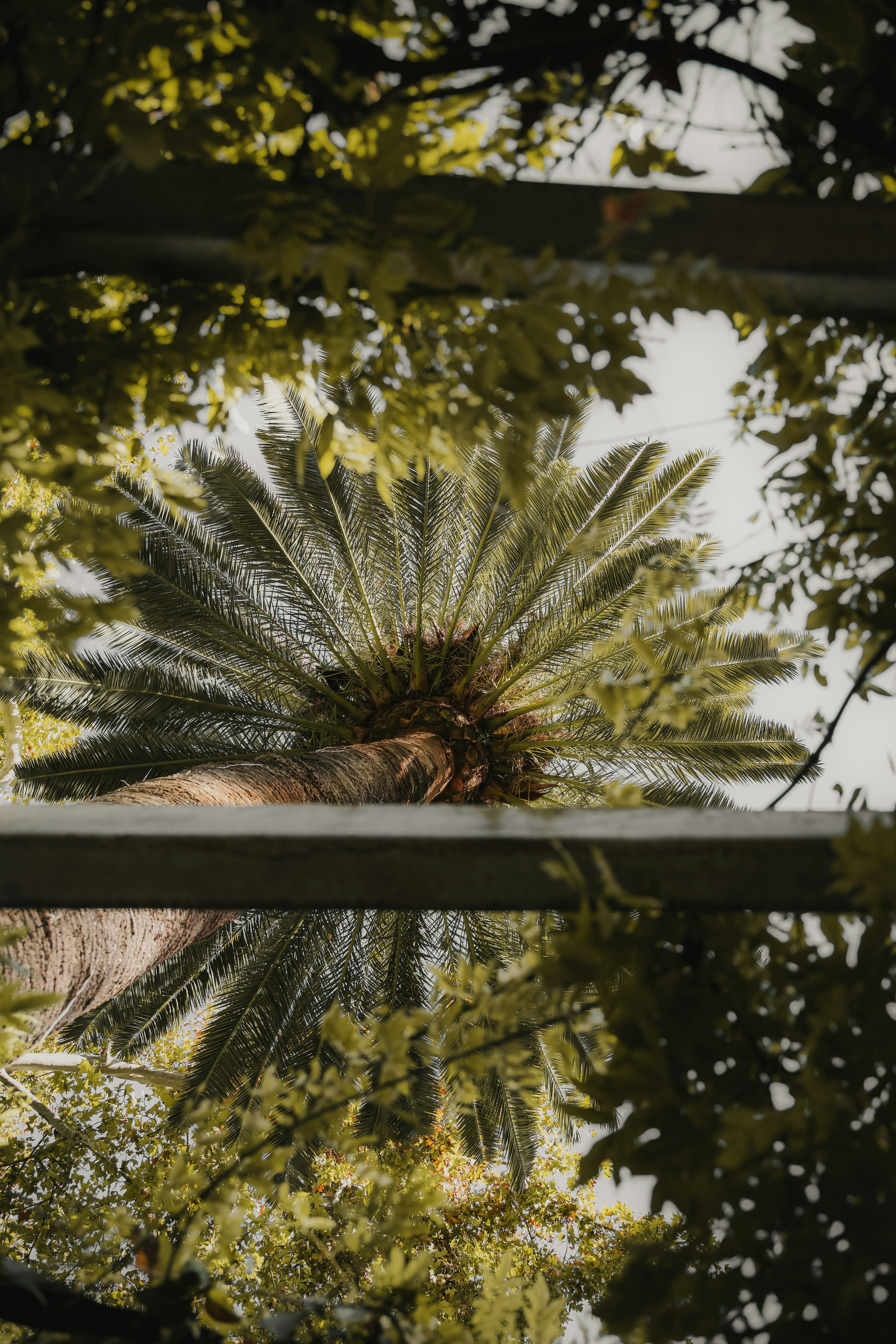 Plaza de España photo 3