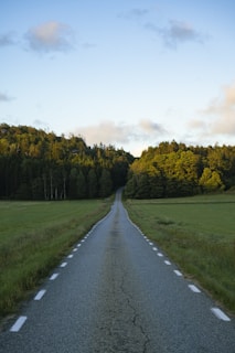 An empty road in the middle of a grassy field