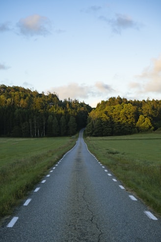 An empty road in the middle of a grassy field