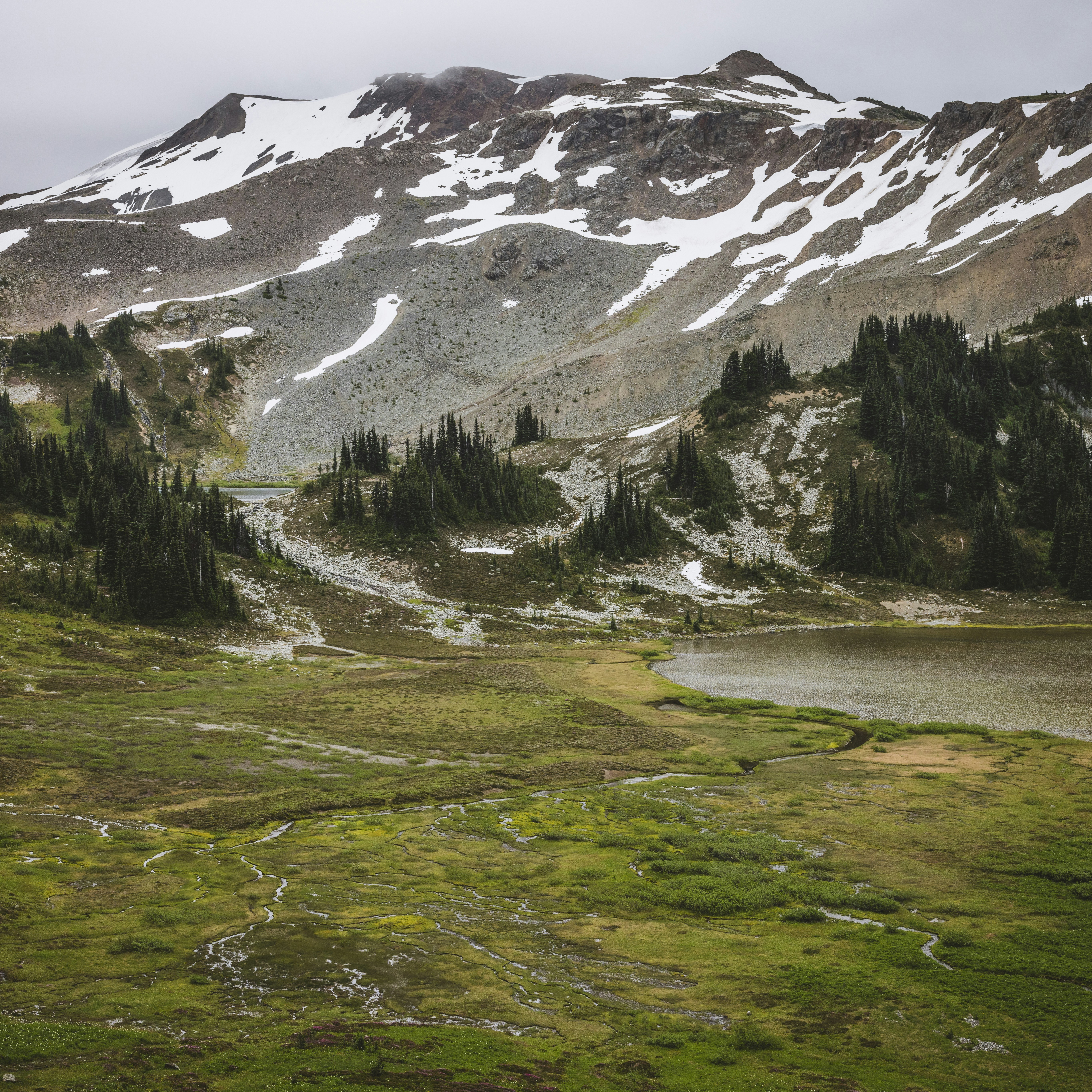 Photo by trail_mix_mike