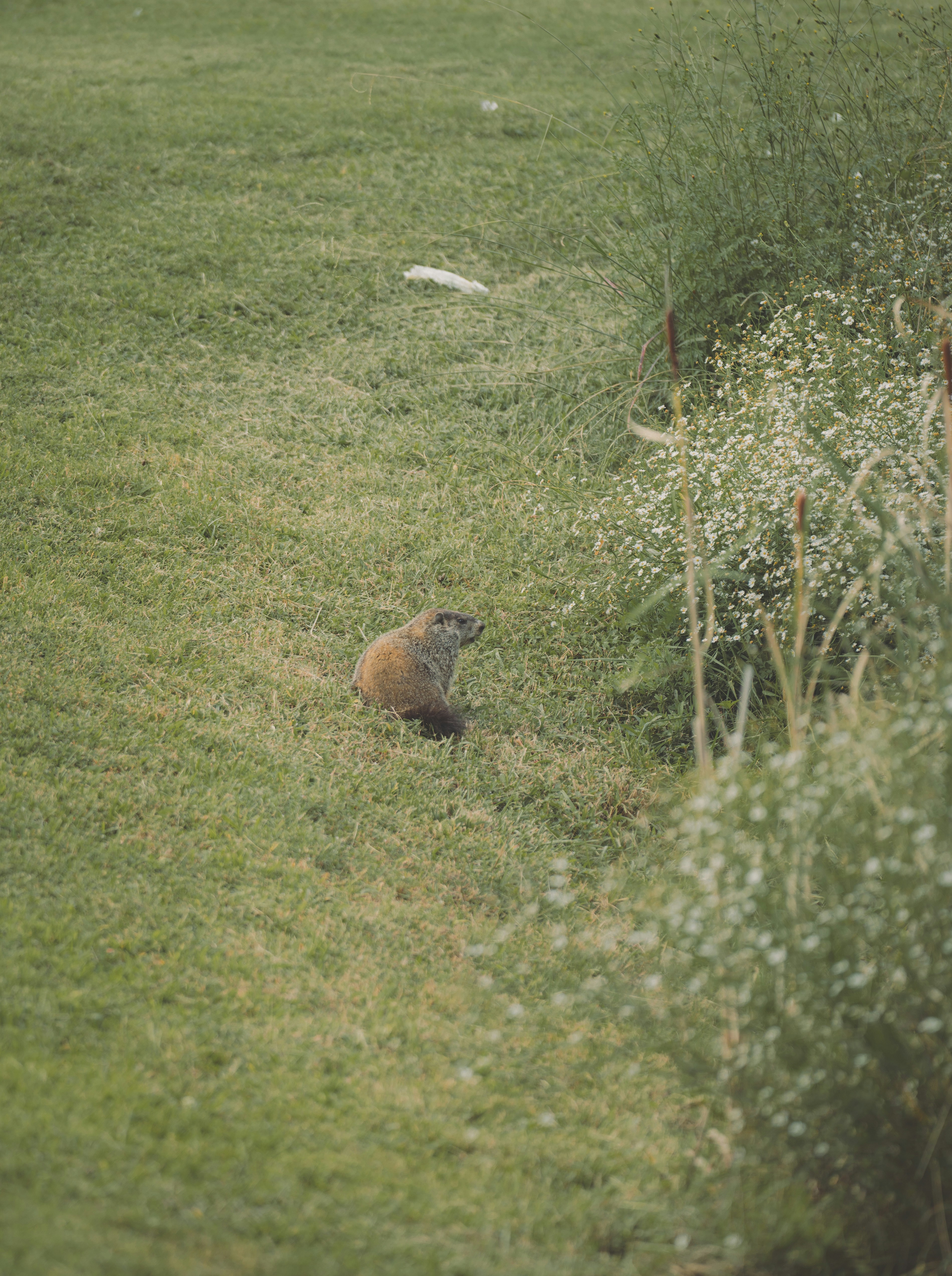 Photo by keepitchassephotography