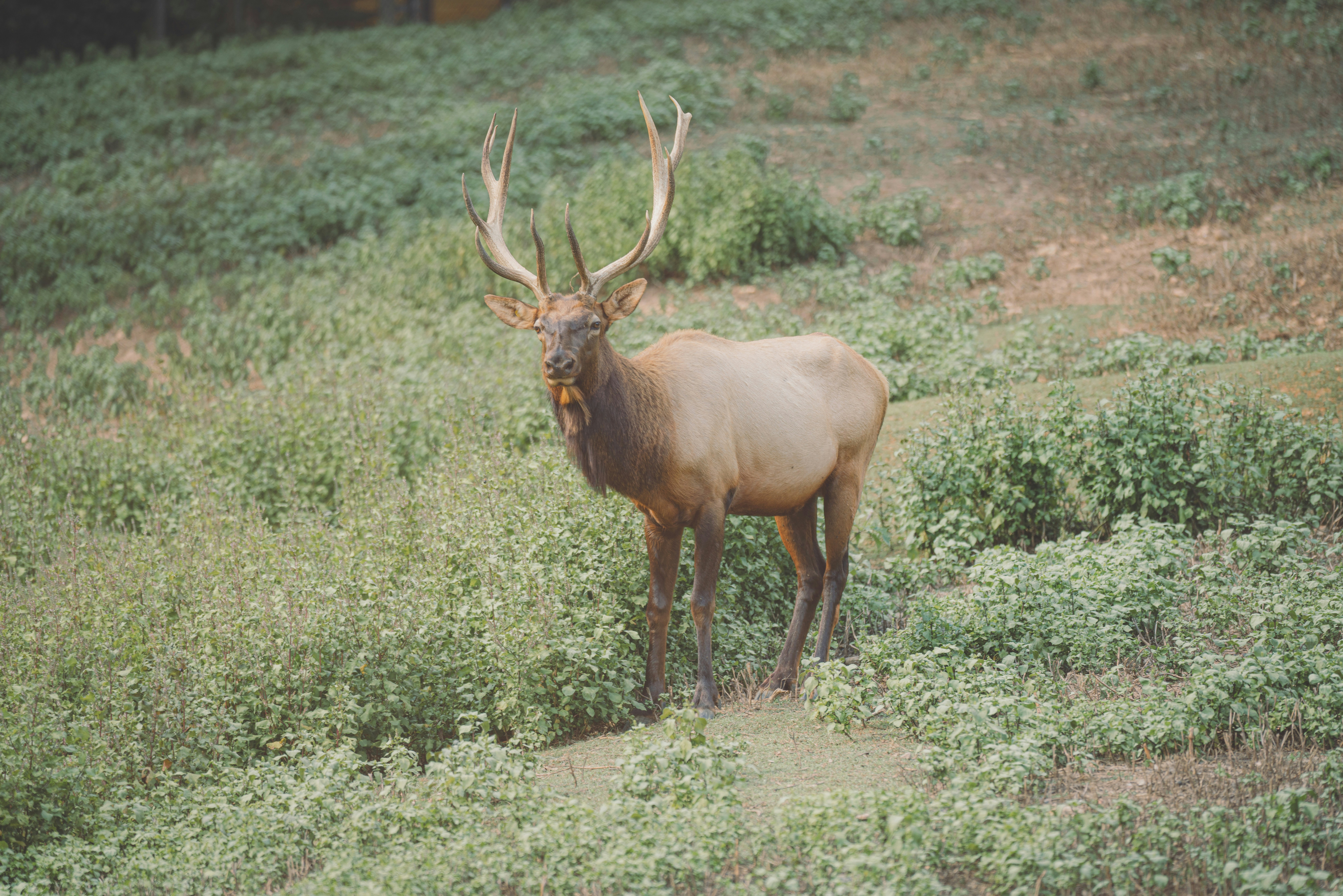 Photo by keepitchassephotography