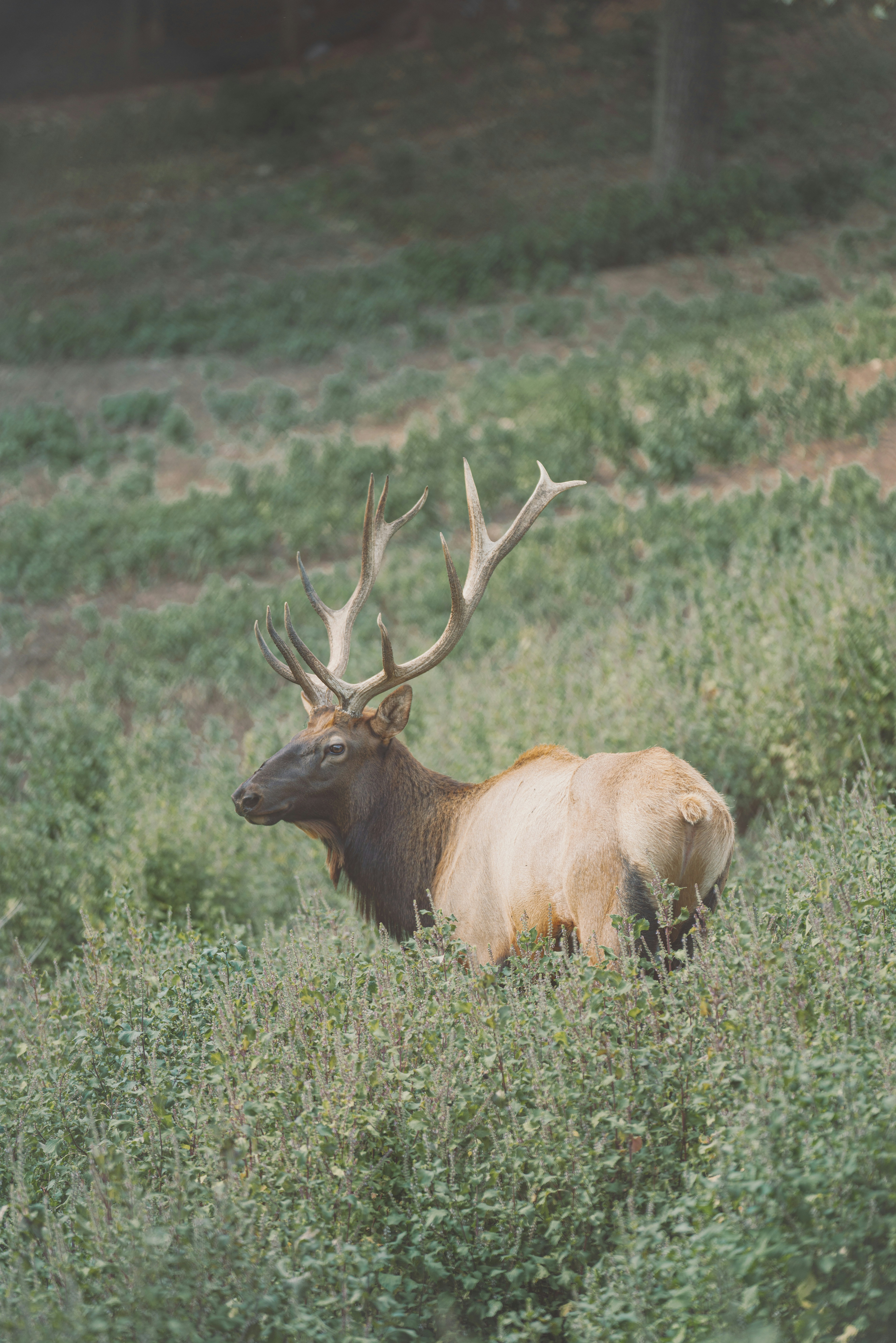 Photo by keepitchassephotography