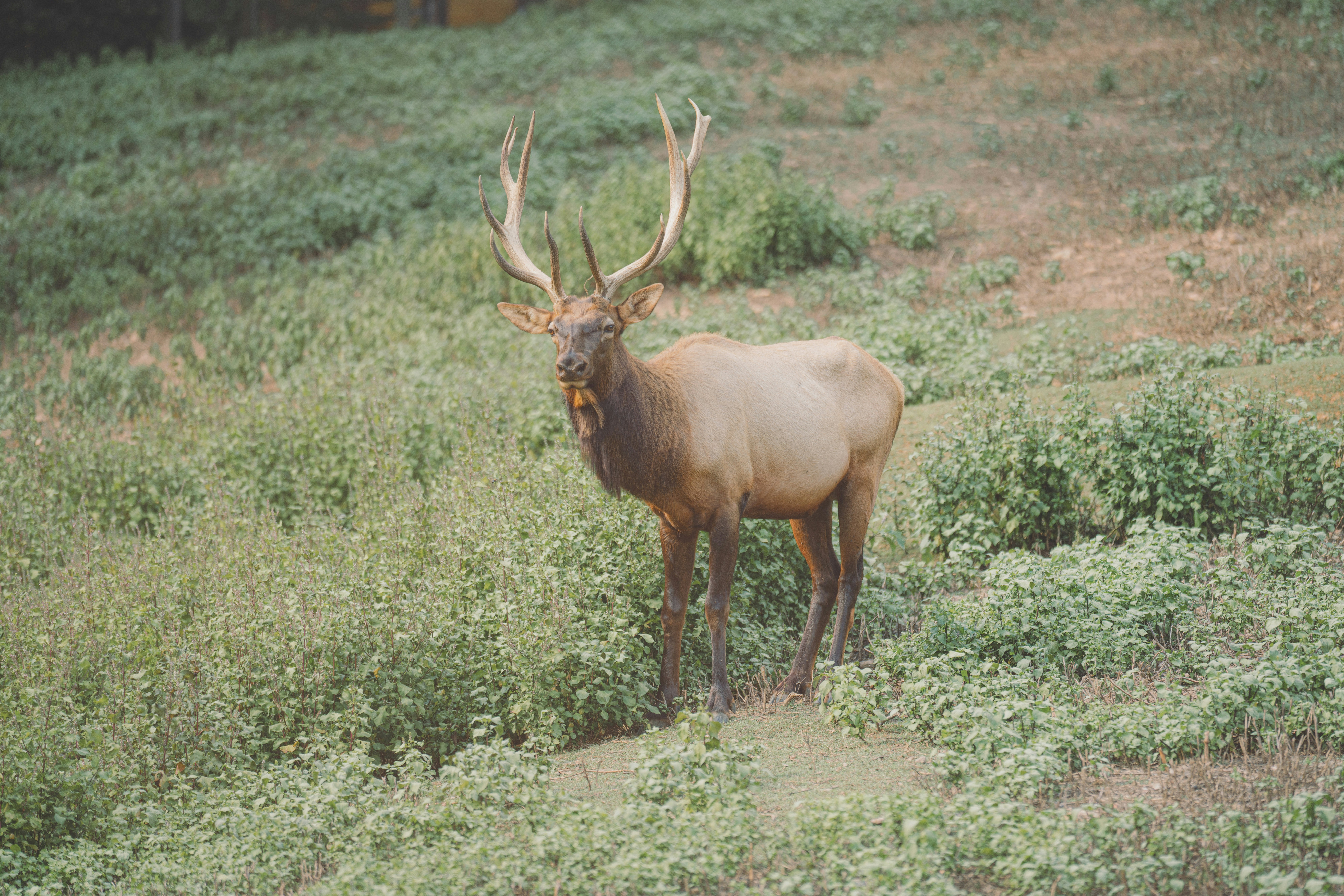 Photo by keepitchassephotography