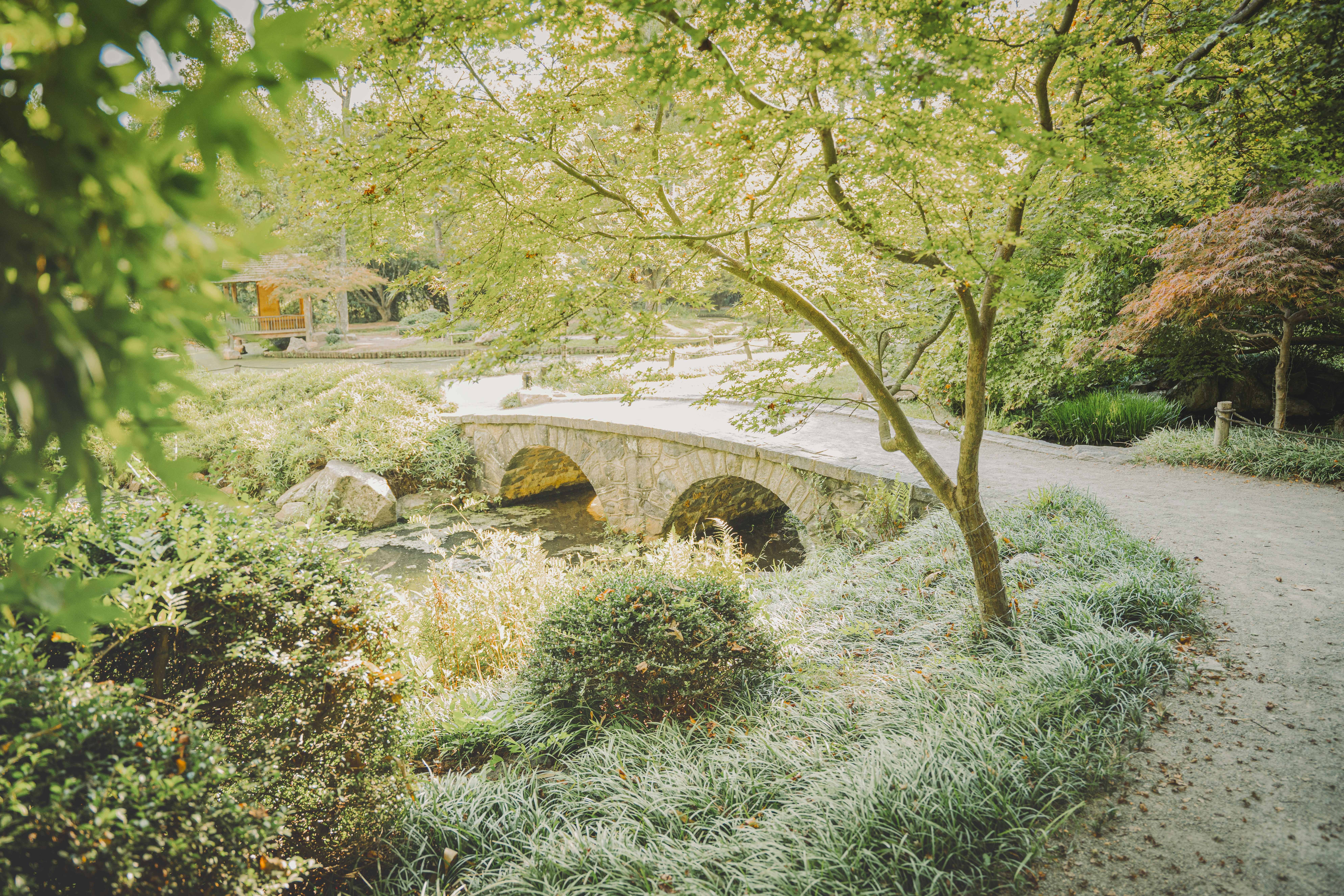 Photo by keepitchassephotography