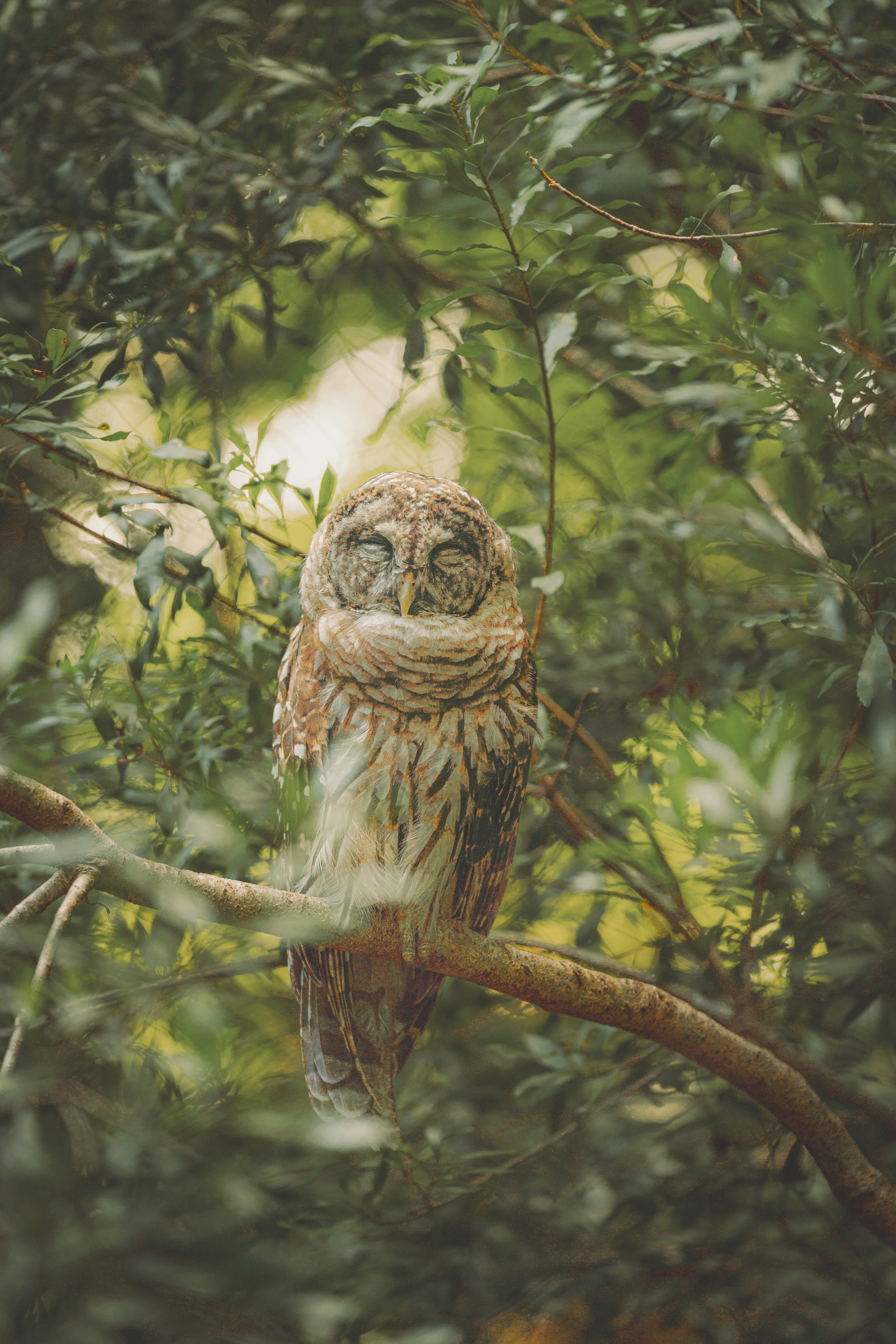 Photo by keepitchassephotography