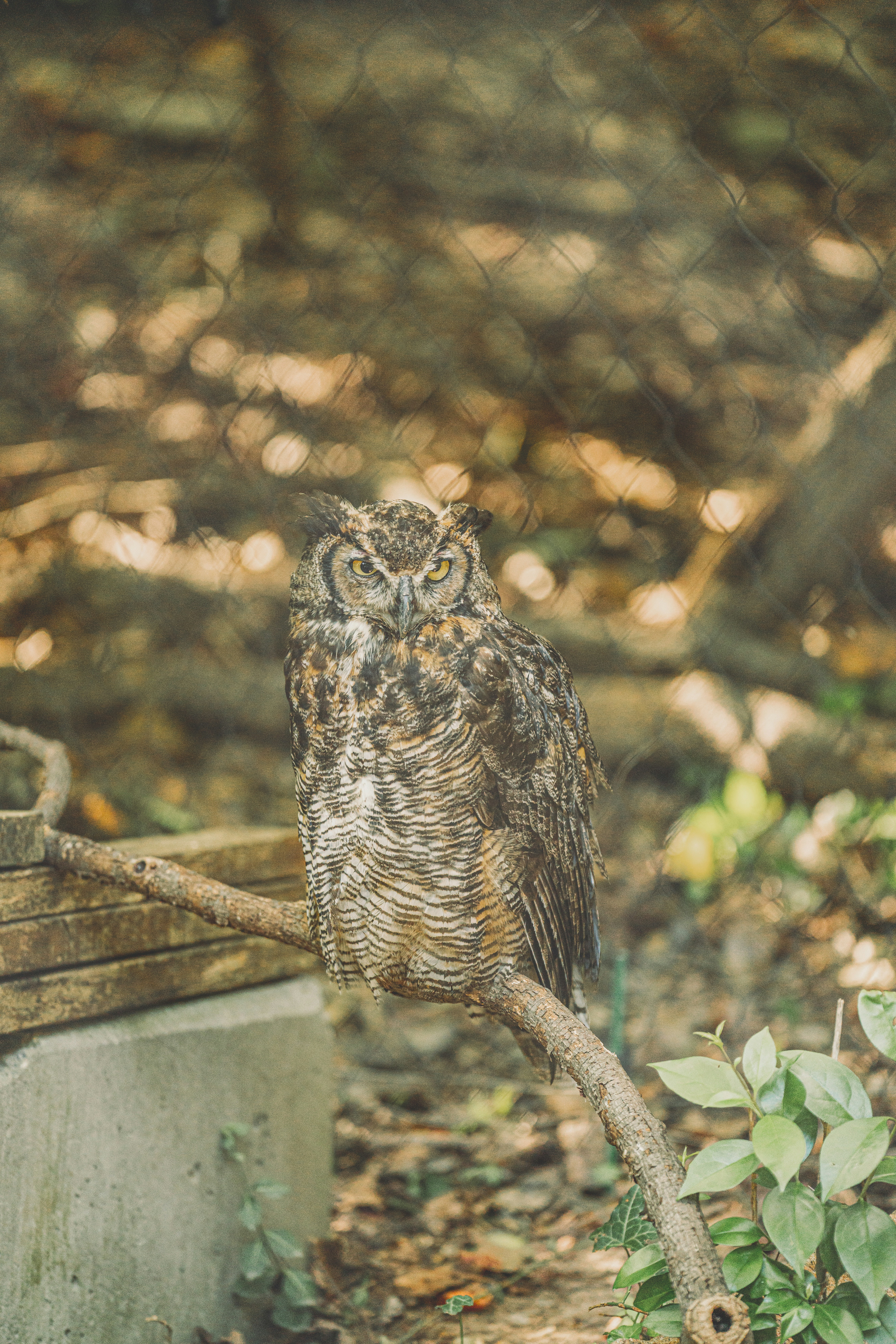 Photo by keepitchassephotography