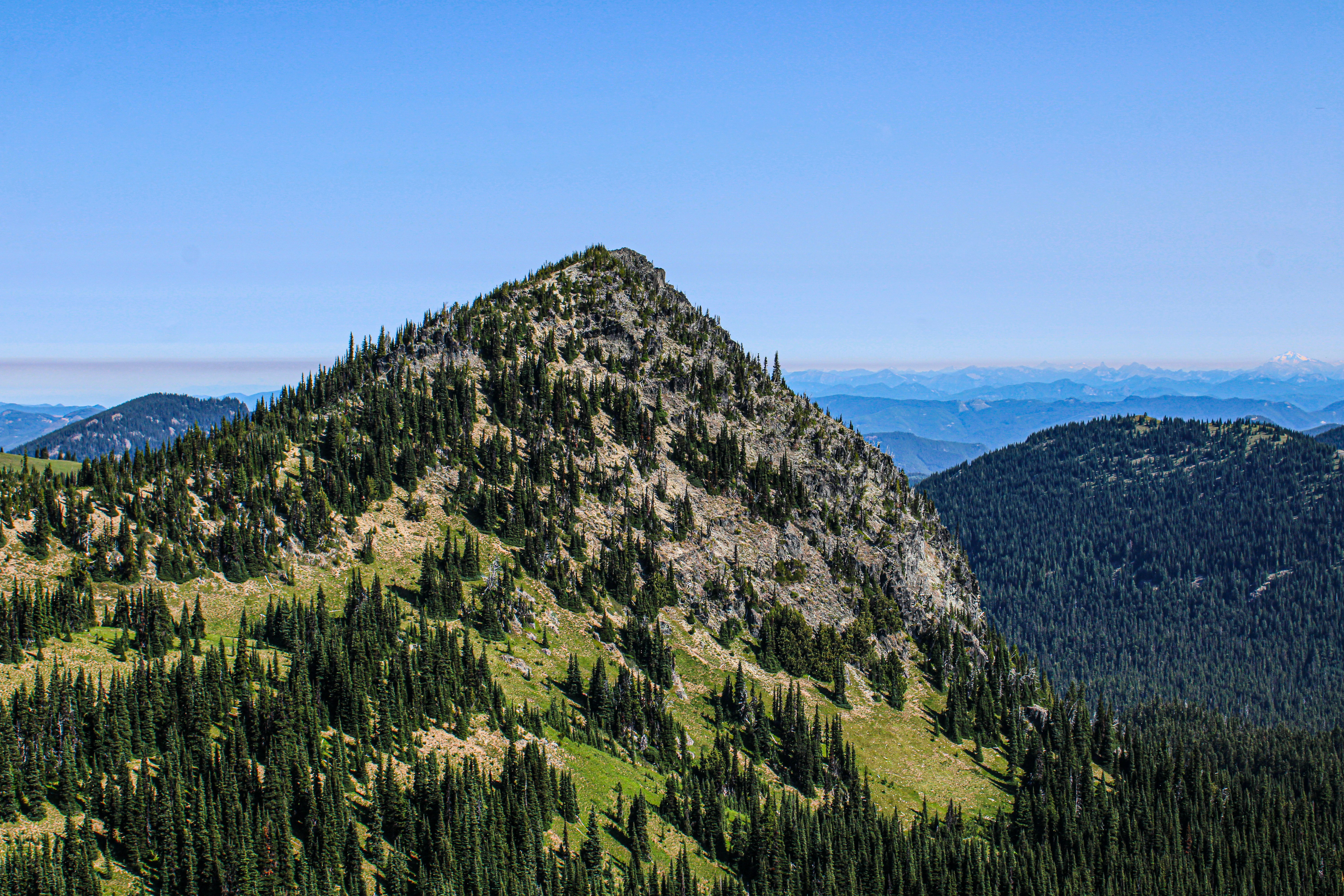 Photo by prphotography262